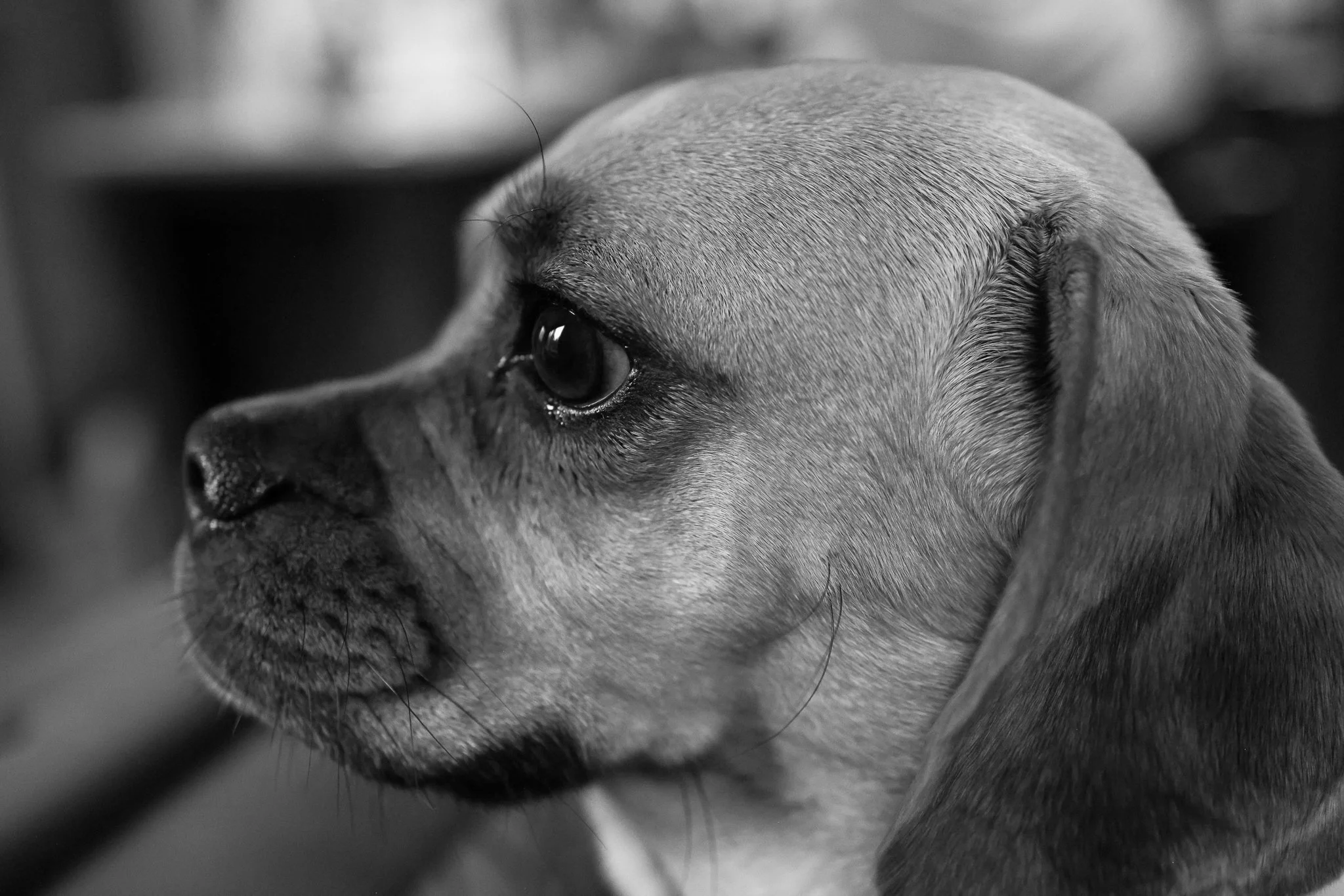 Granite Flats_Alpine, Utah_Summer Camping_202406_Made with Michelle-06.jpg