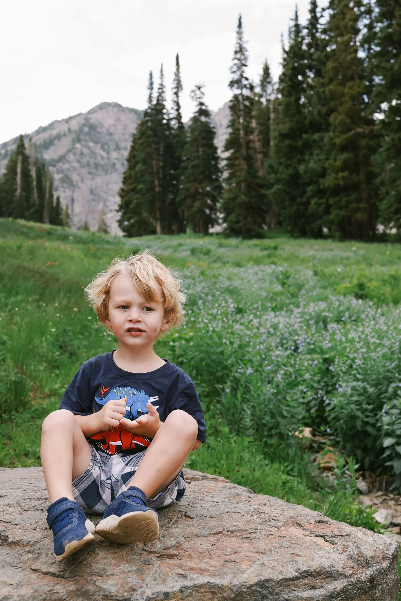 Albion Basin, Utah_Family Friendly Activity_Wildflowers_Hiking with Kids_Made with Michelle-10.jpg