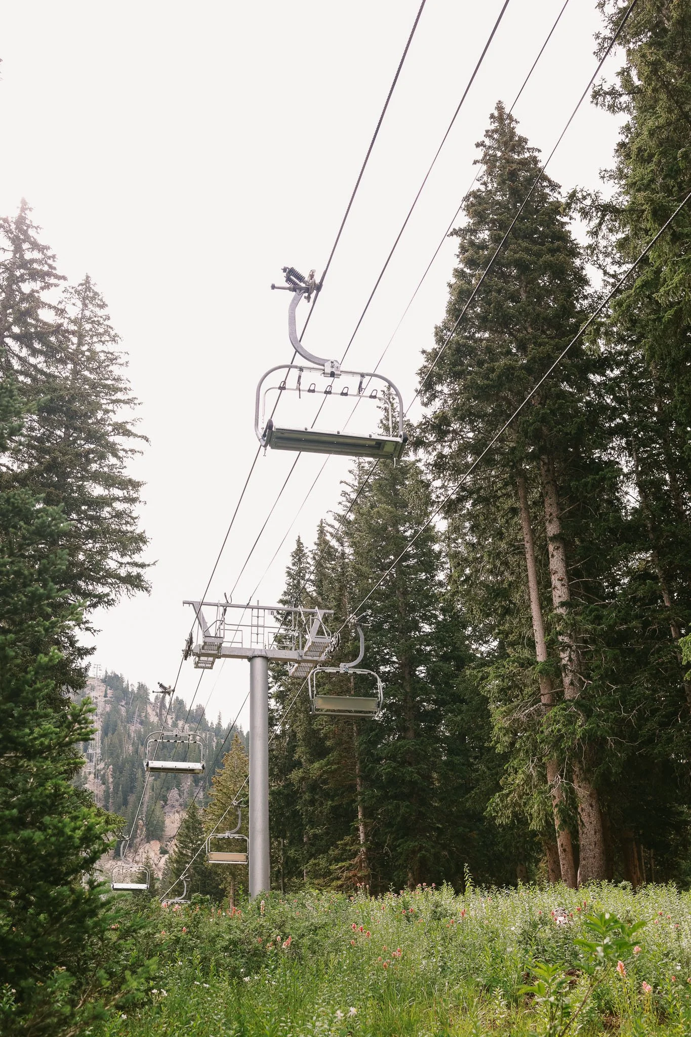 Albion Basin, Utah_Family Friendly Activity_Wildflowers_Hiking with Kids_Made with Michelle-06.jpg