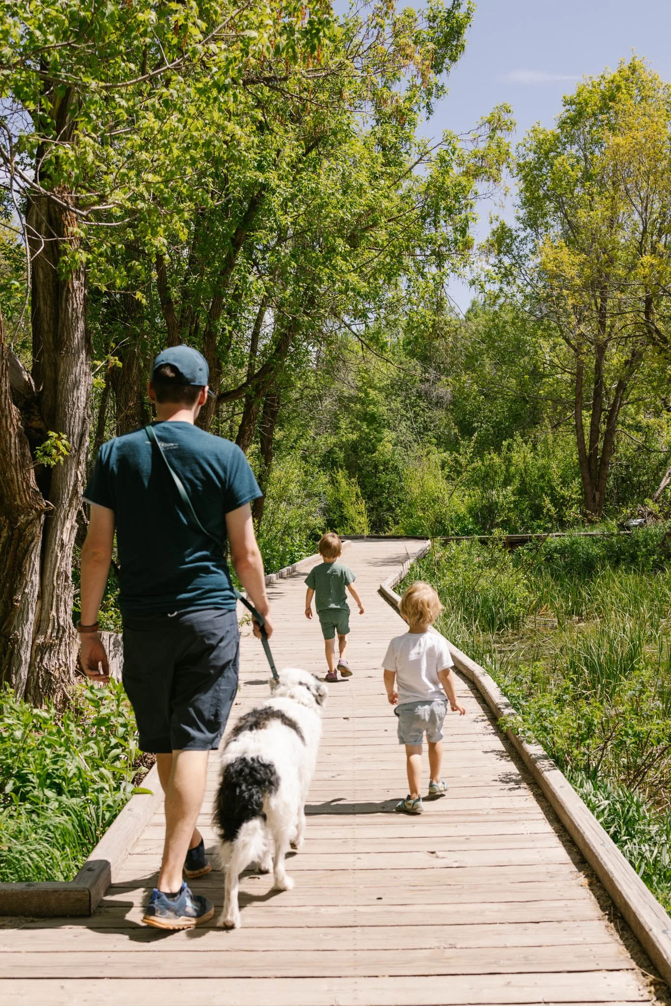 A man walks on a wooden boardwalk in a lush green park with his dog on a leash, followed by two young children. The children are walking ahead, enjoying the sunlit path surrounded by trees and grass. Cascade Springs, Alpine, Utah