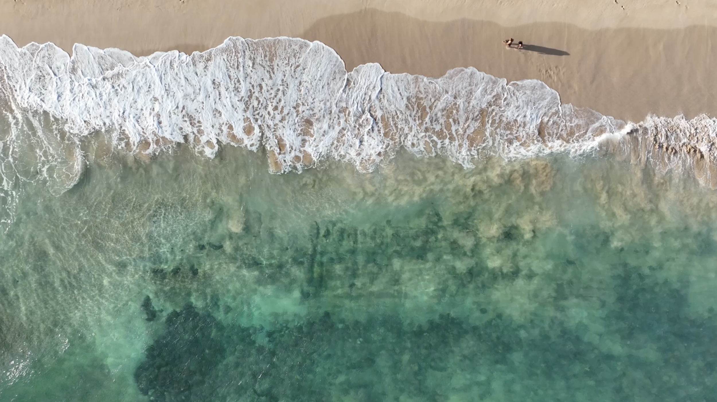 Screenshot 2026-01-13 at 10.55.33 AM.png