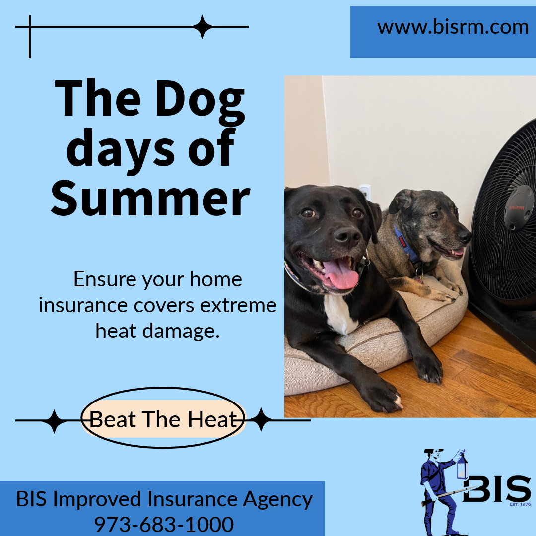 Does Your Home Insurance Cover Damage from NJ’s Extreme Heat?