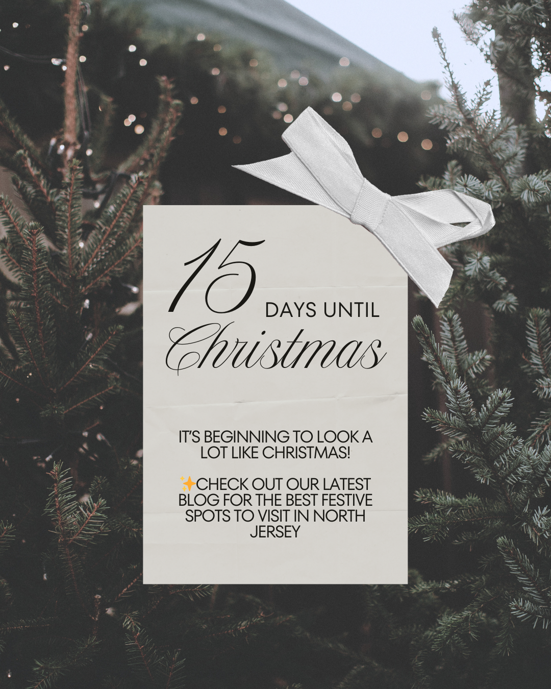 ❄️ Best Places to Celebrate the Holidays in New Jersey: A Local Guide from BIS Improved Insurance Agency