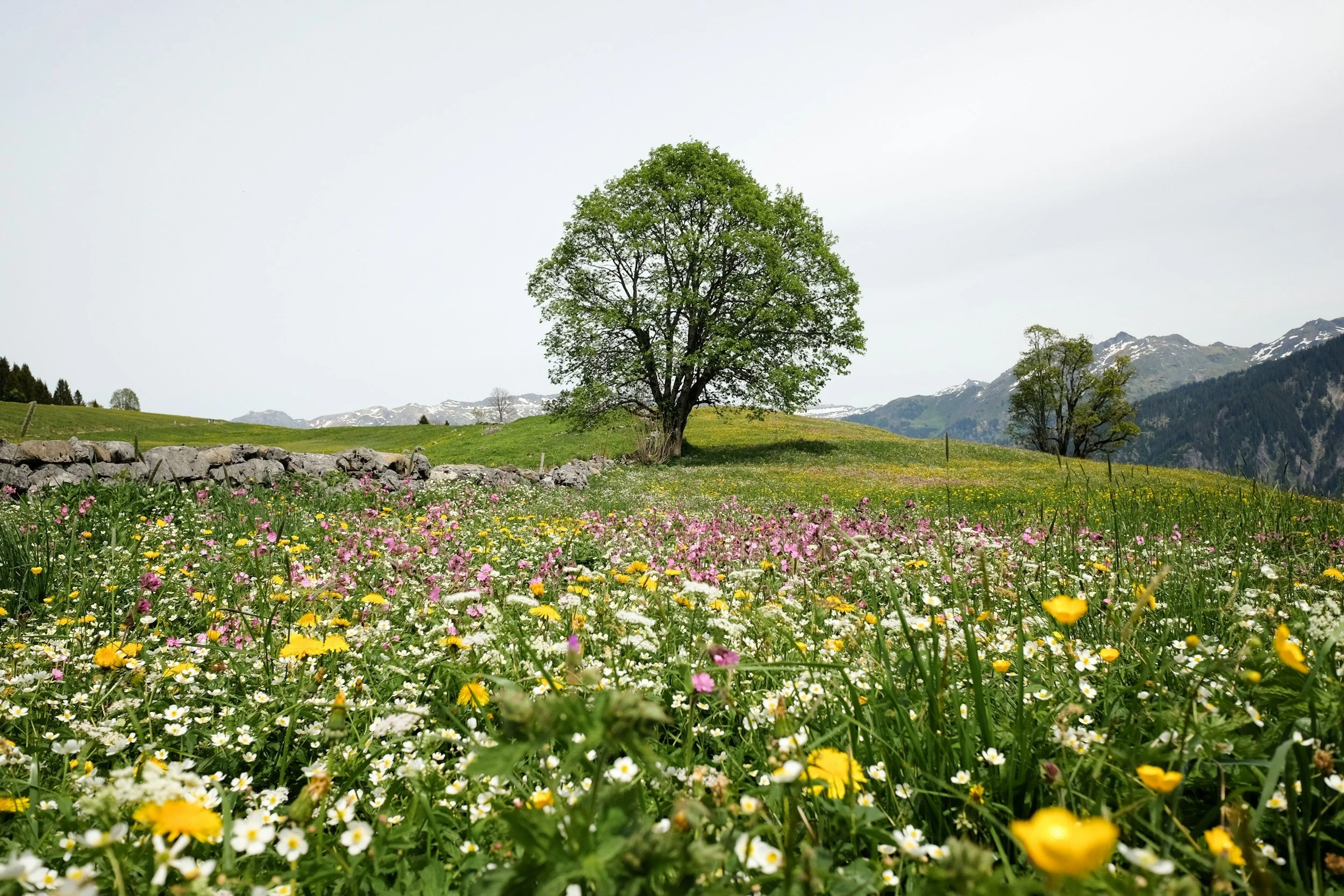 Spring Insurance Reset in New Jersey: Home, Auto &amp; Umbrella Coverage Guide for Morris County Homeowners