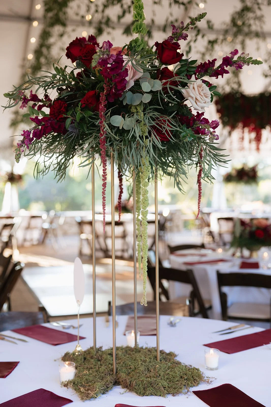 DEV_1512_websize (1).jpg