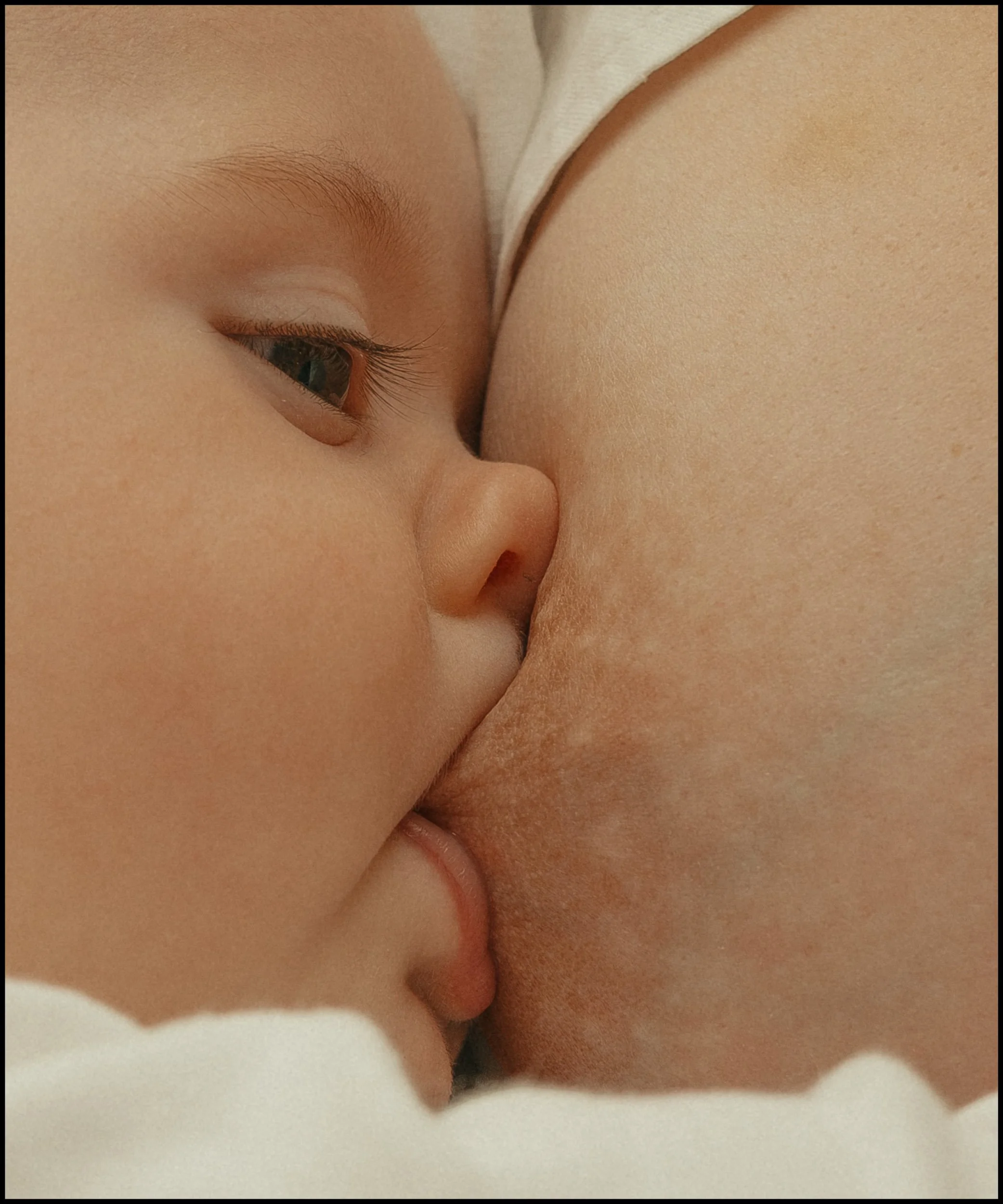 images for the website -portrait25.jpg