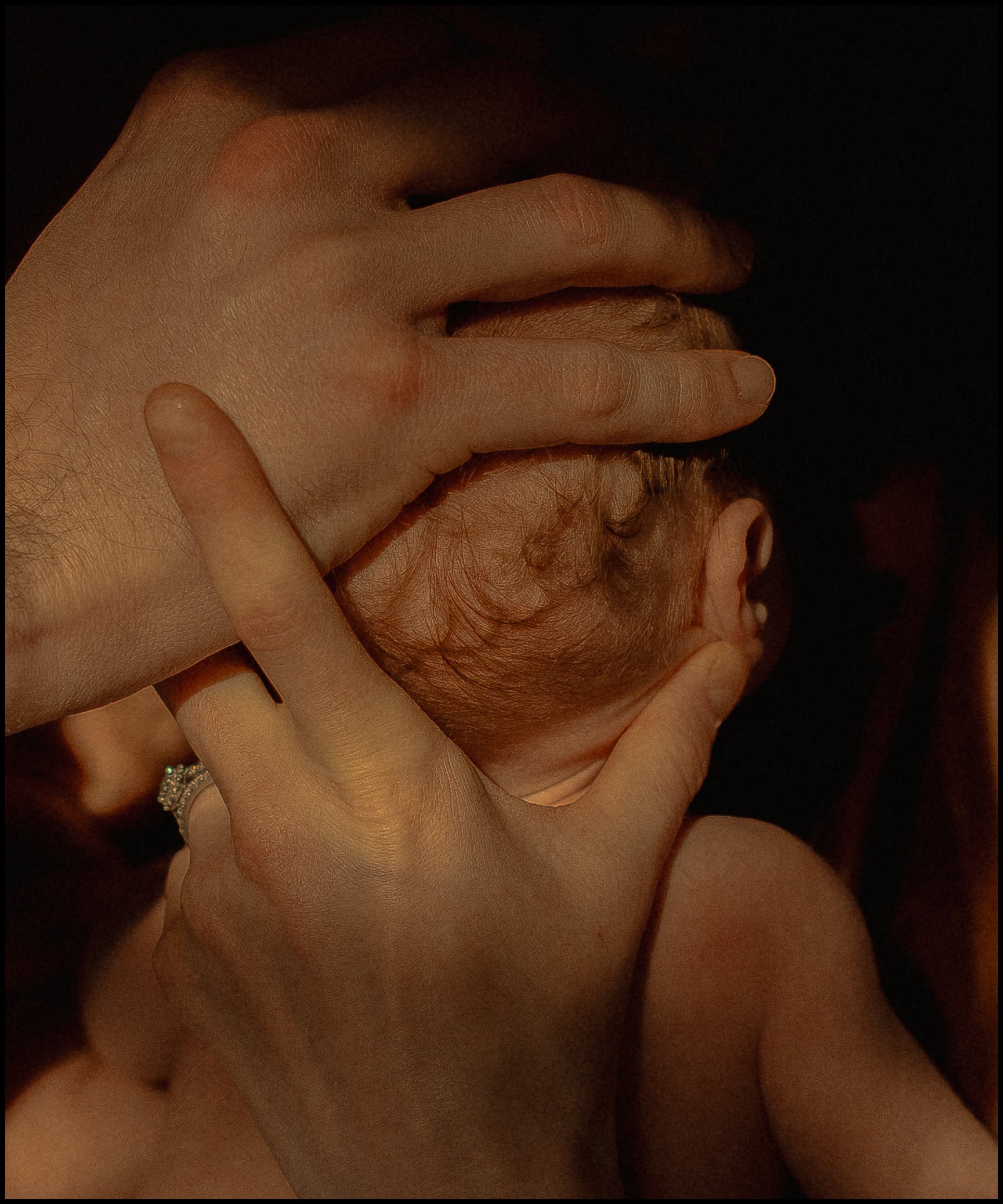 images for the website -portra5.jpg