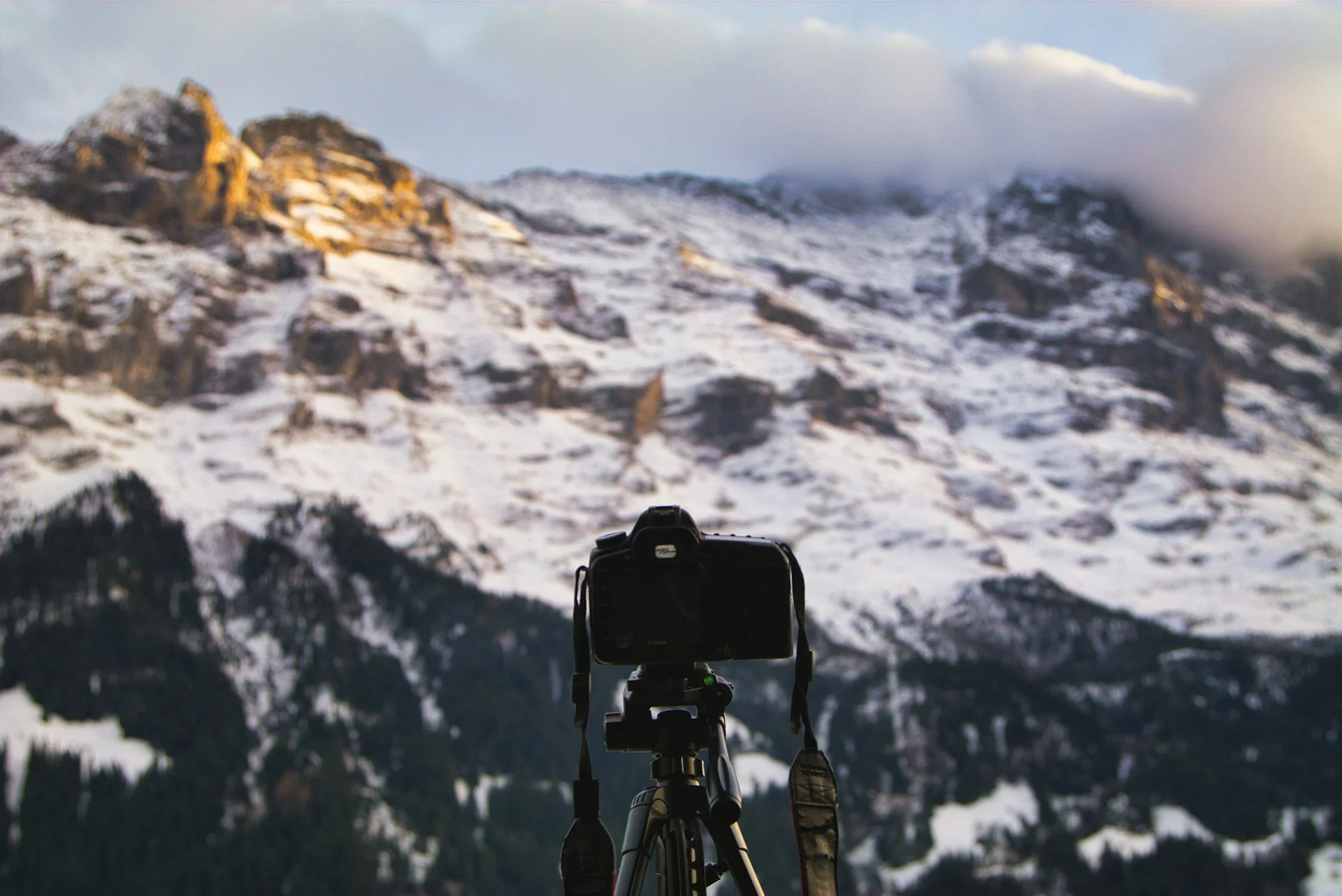 Solving Memory Card Issues in Cold Temperatures