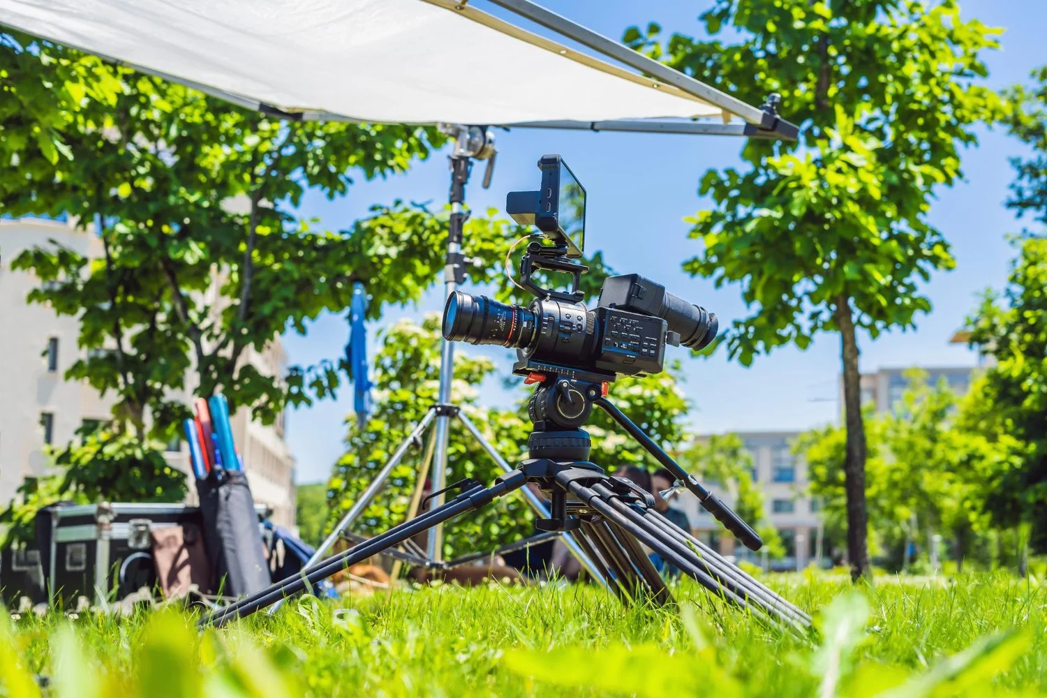 Where to Capture Springtime Movement in Jackson WY