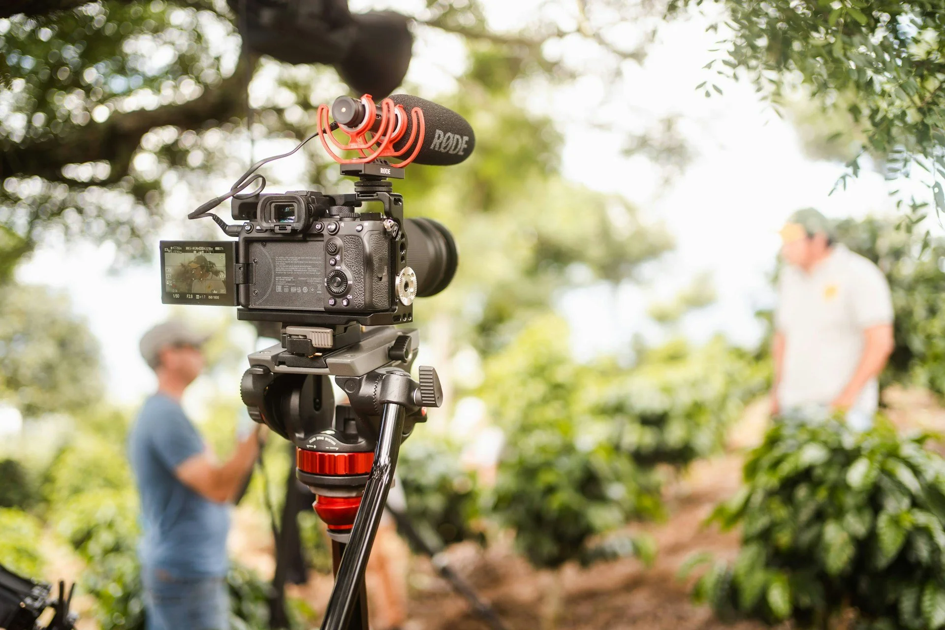 In-House vs. Outsourced Video Production Company for Brand Films
