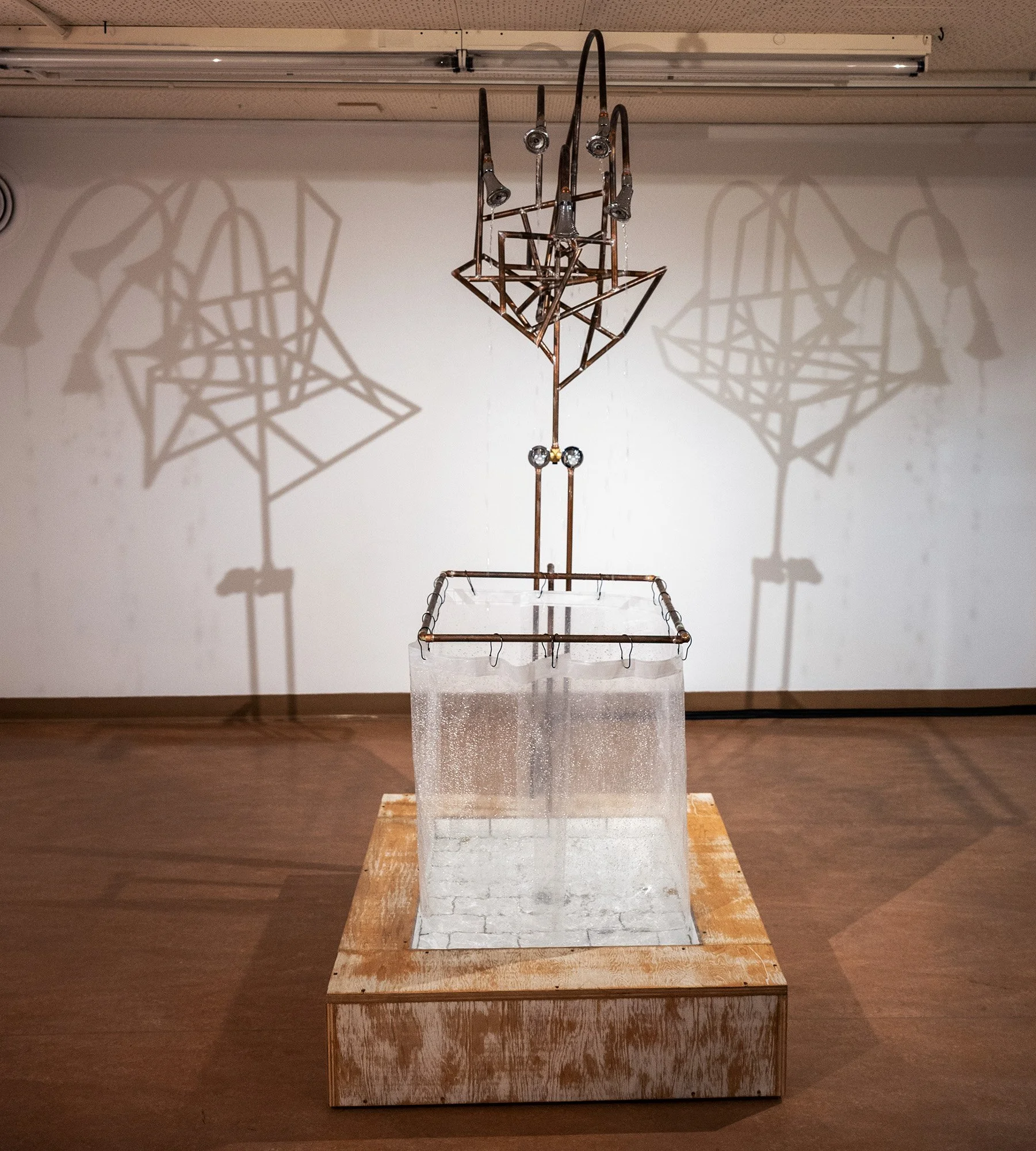 Mike Thomas Photography