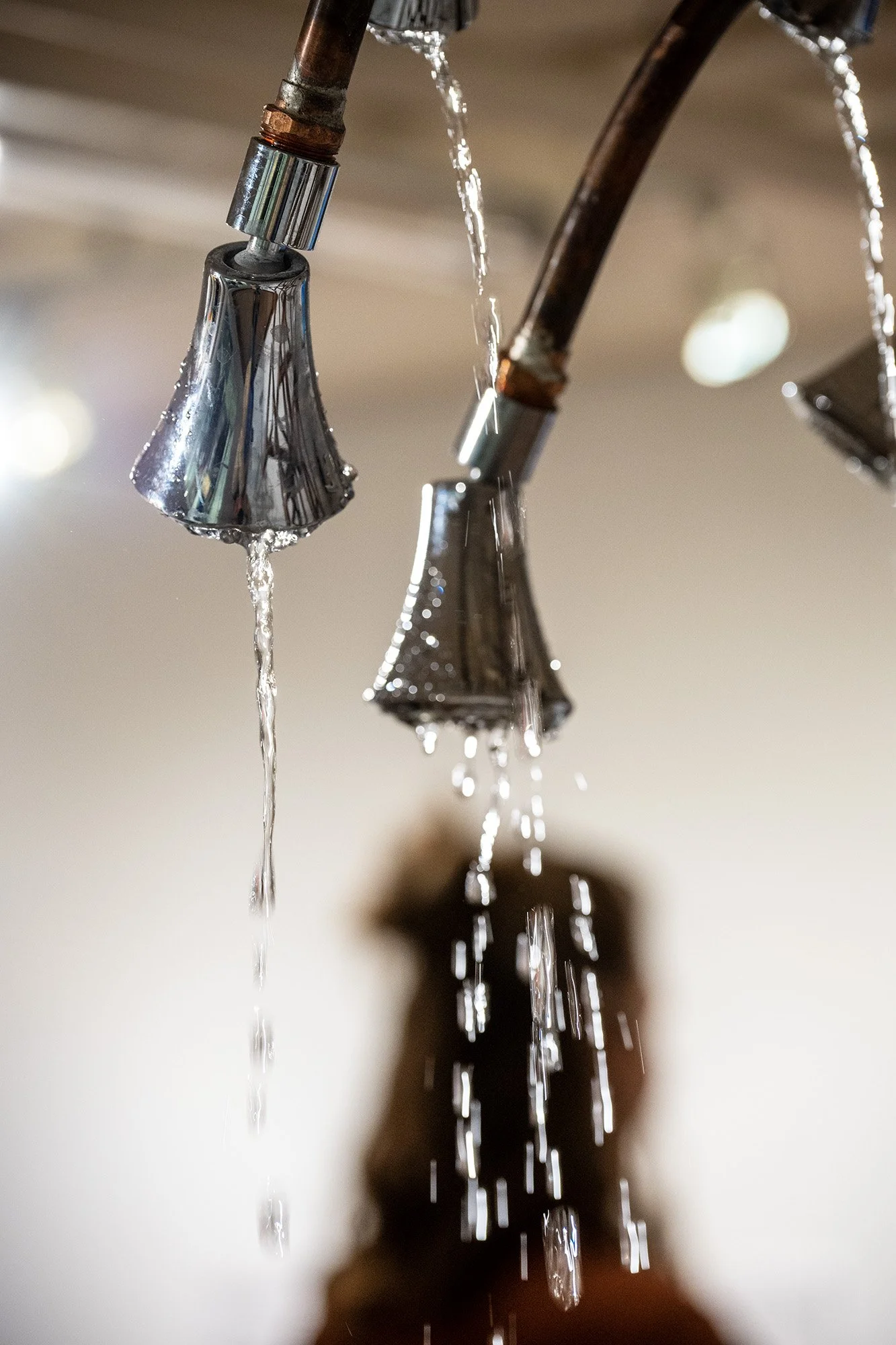 Strange Thoughts in a Place of Meditation