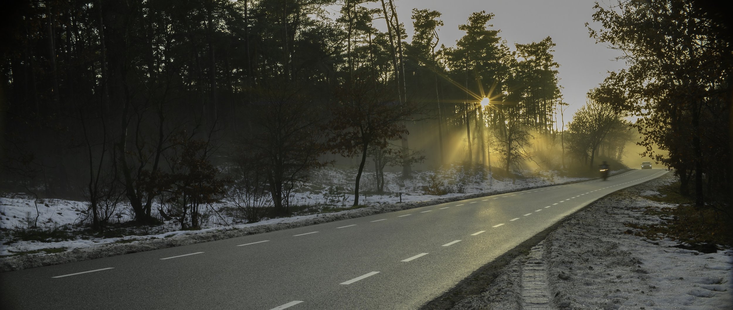 Anamorphic _RVH1961.jpg