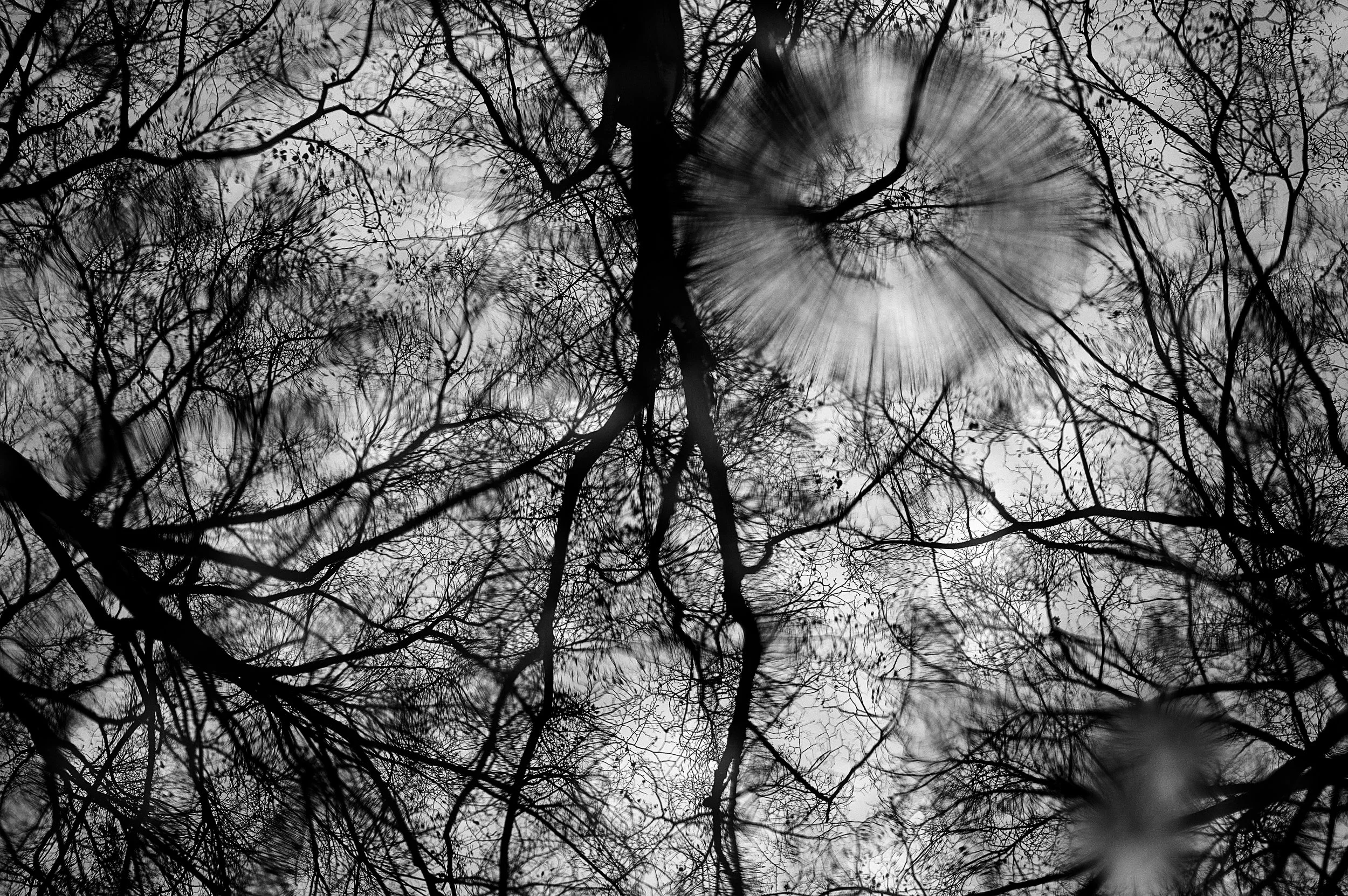 Watercirkels_02_RVH_2276 1.jpg