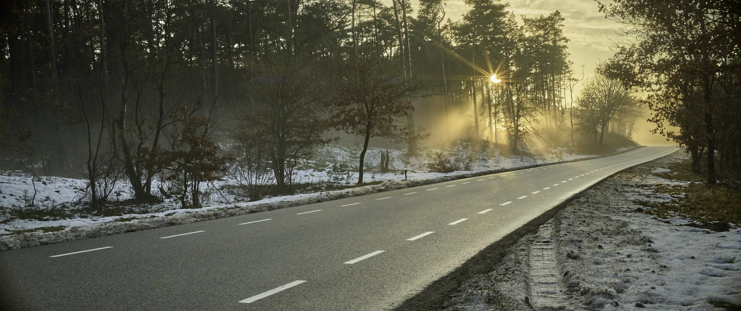 Anamorphic _RVH1989_HDR.jpg