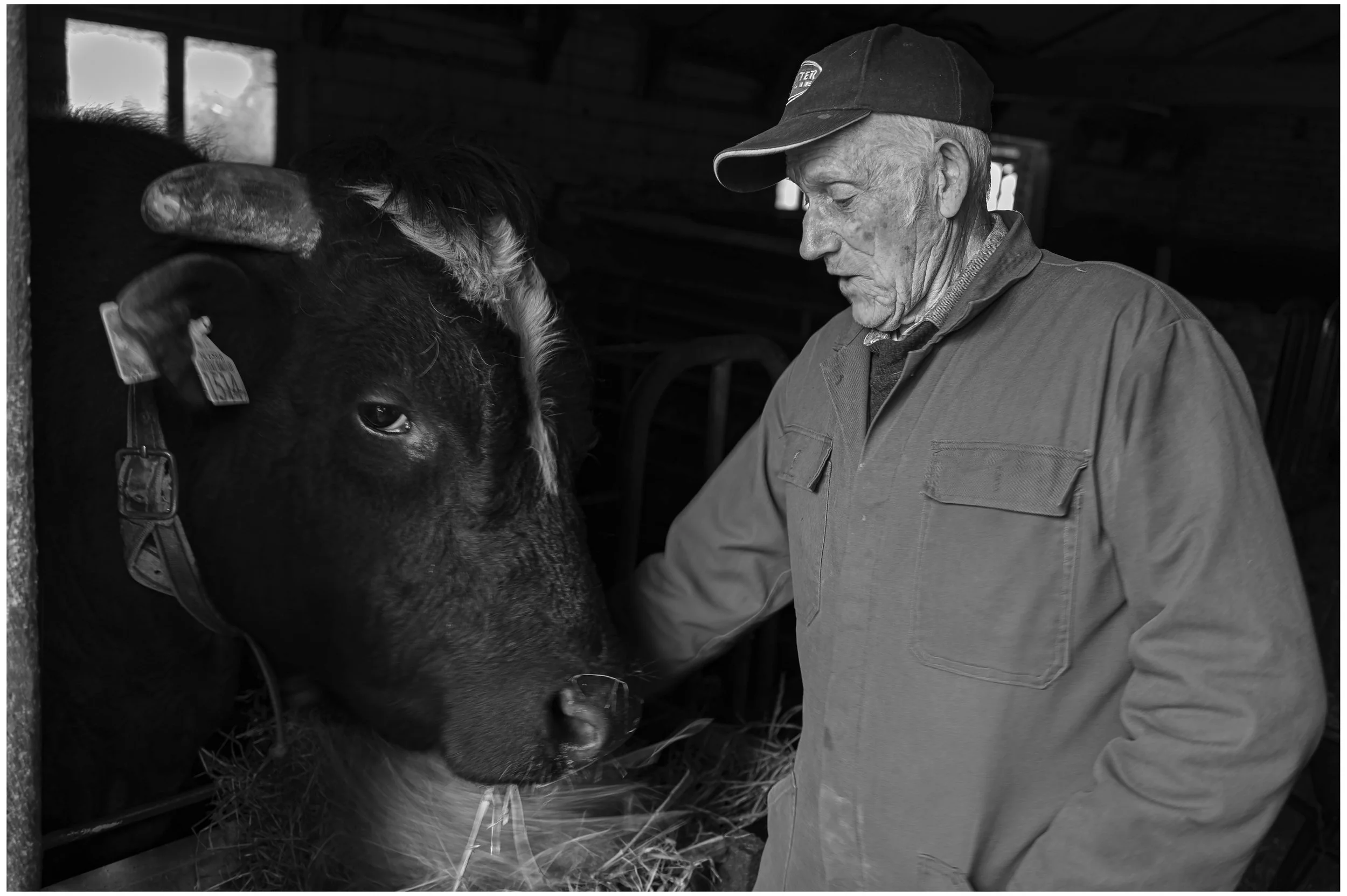 Bennie_Bennie en de seksbom-2079.jpg