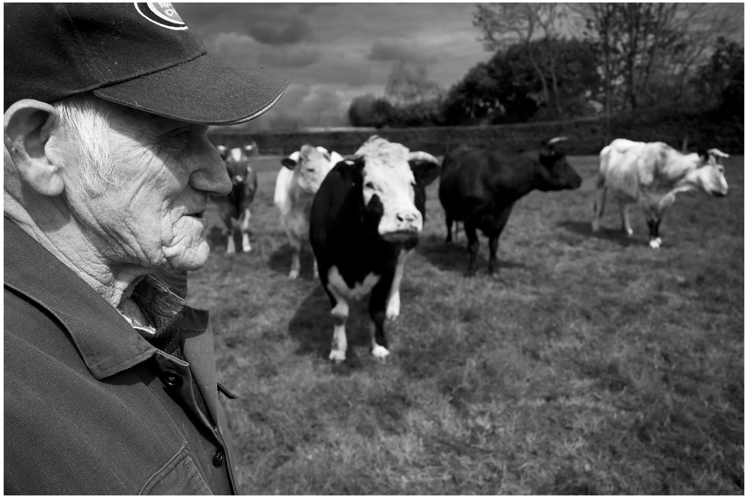 Bennie_Bennie en profile in de wei-1985.jpg