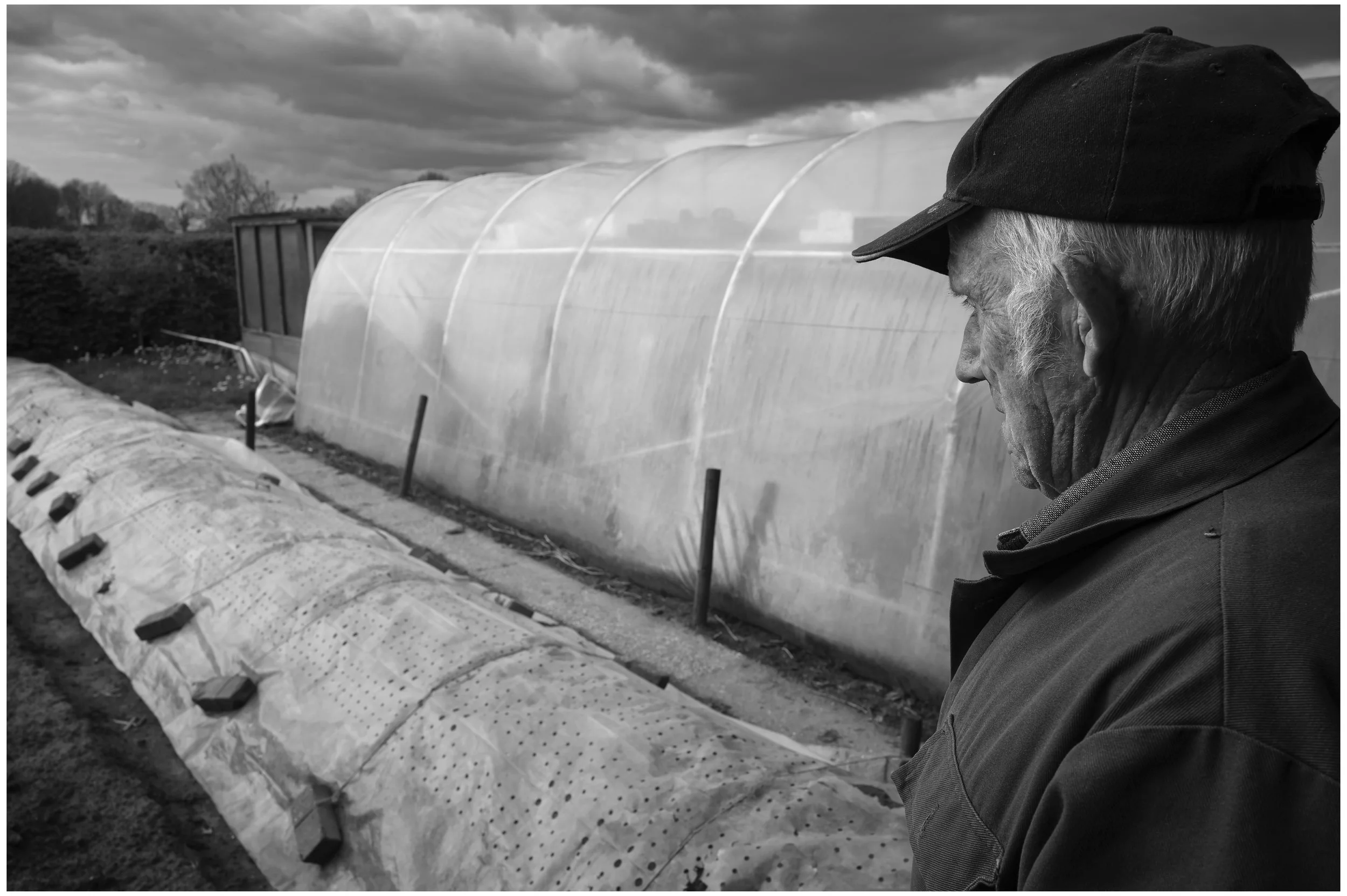 Bennie_Bennie en de asperges-2104.jpg