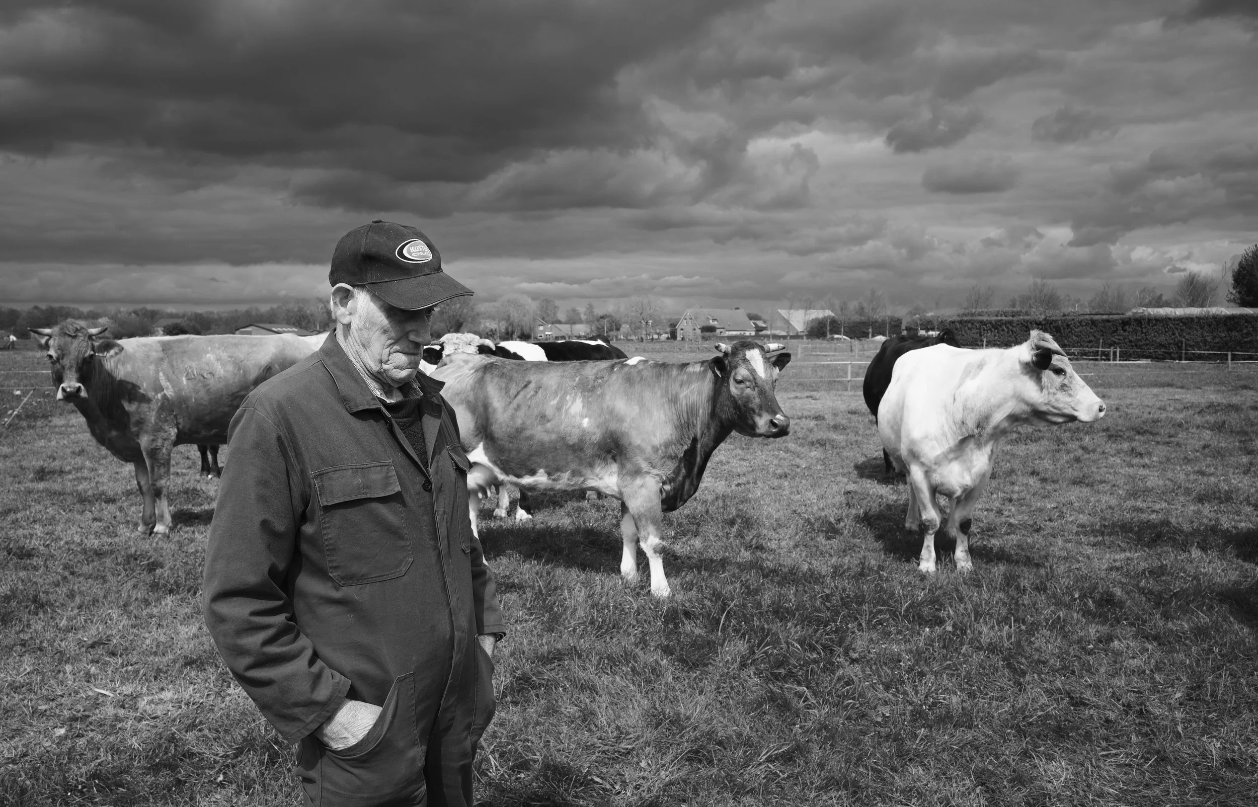 Bennie_0609206-Robin van der Hijden-Donkere wolken boven de boer.jpg