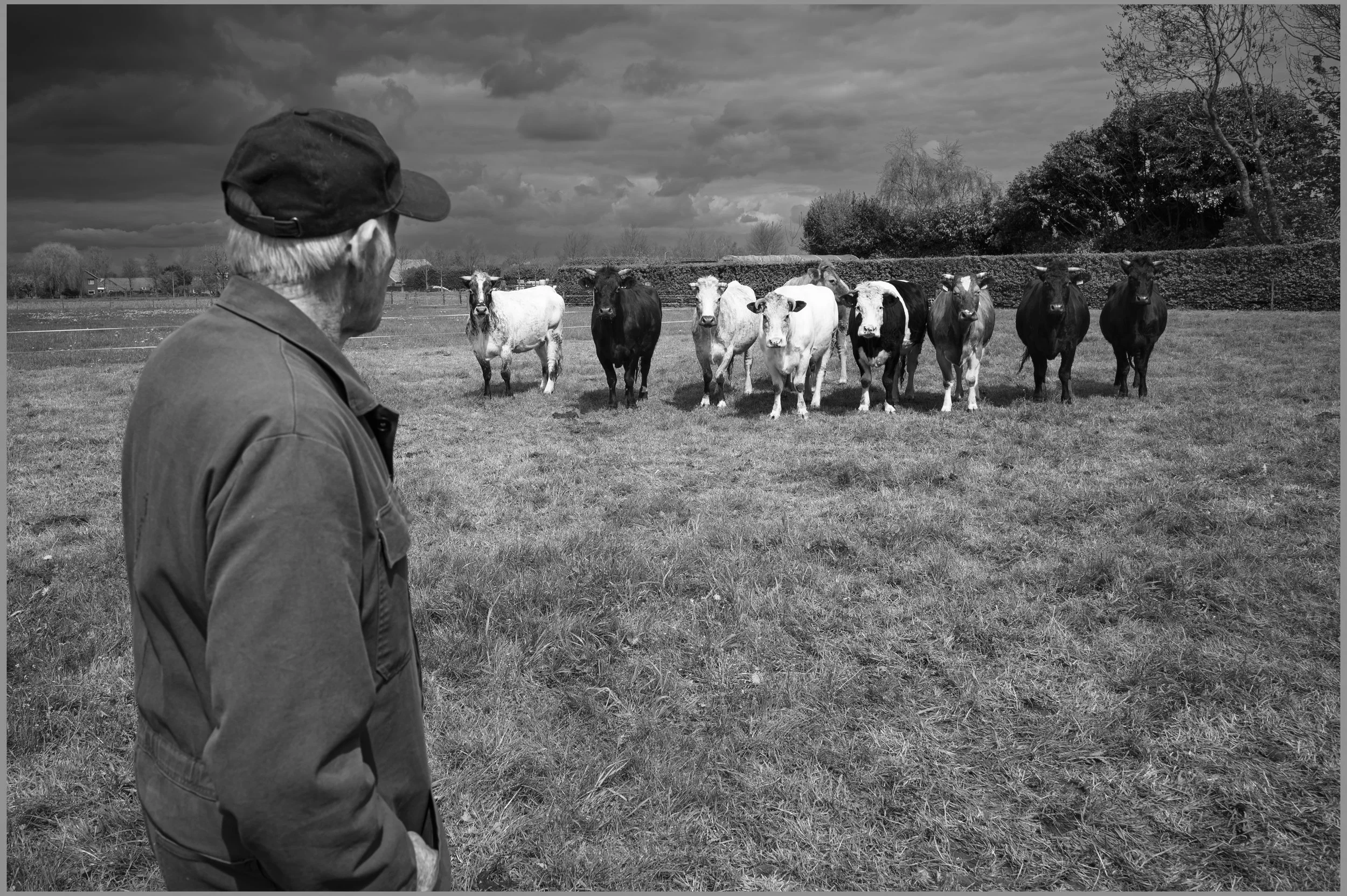 The melancholy of a small farmer