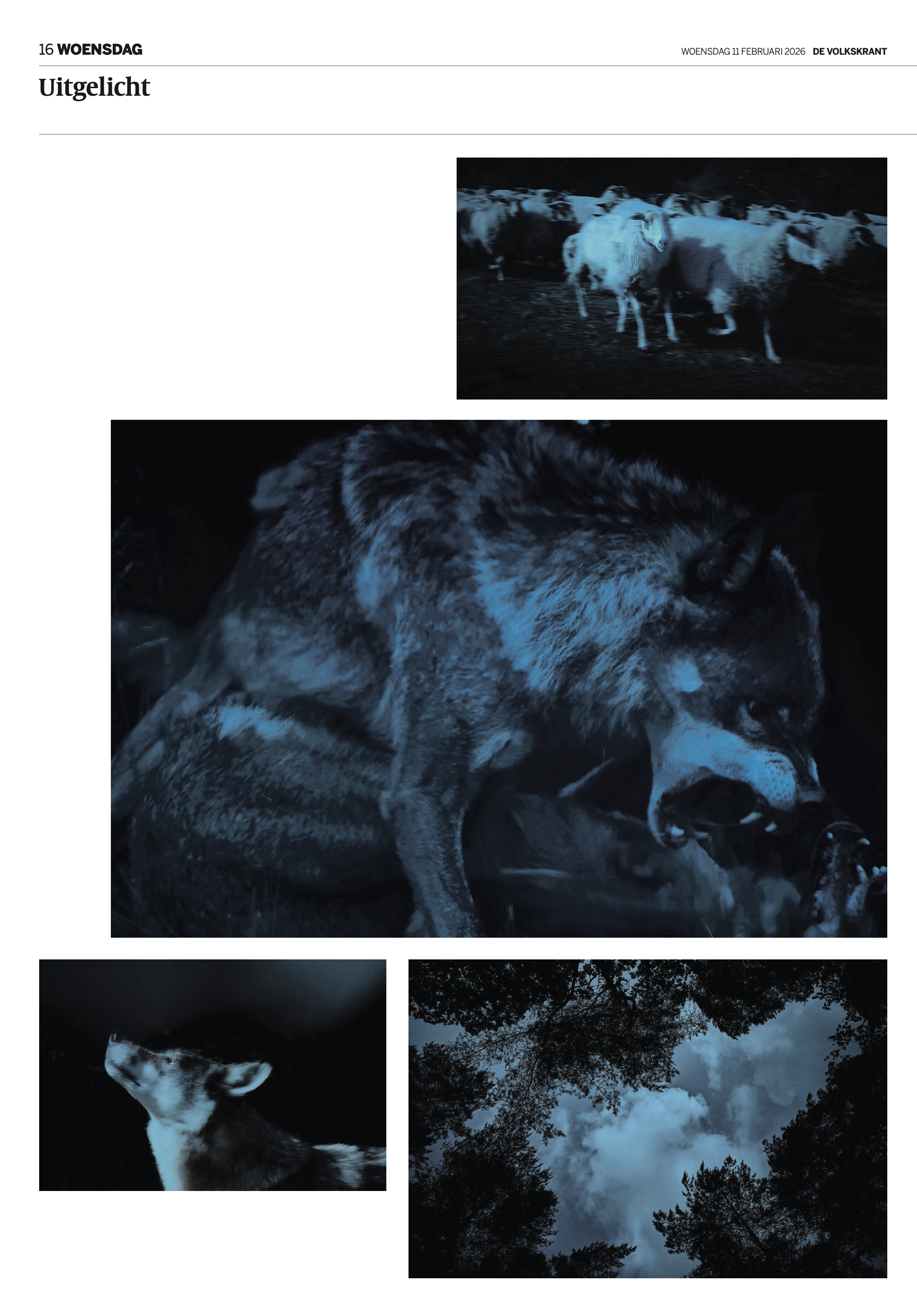 Screenshot 2026-02-14 at 21.09.21.png