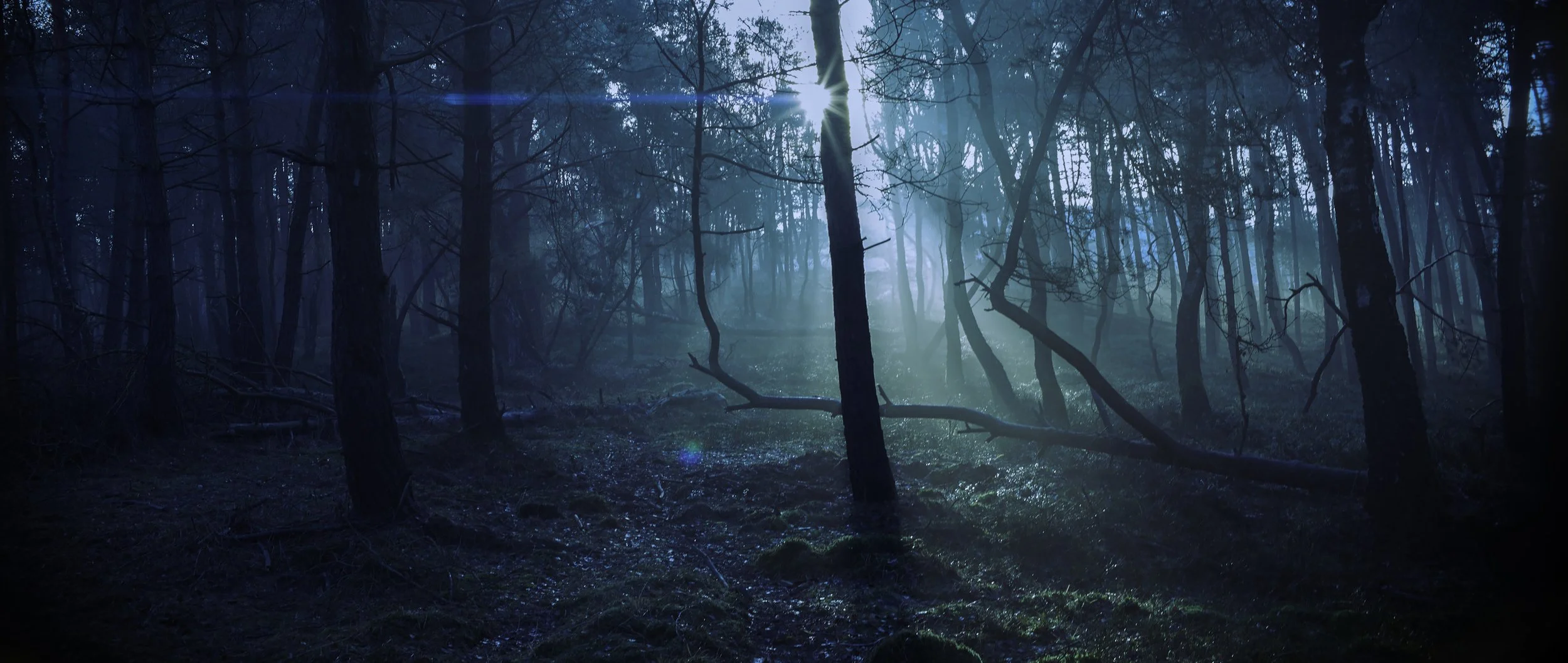 Anamorphic _RVH2006.jpg