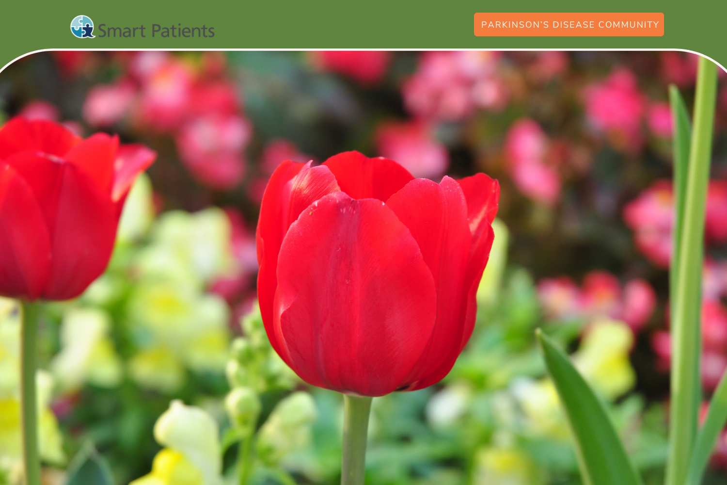 I Am On, I Am Off, I Am…Still Here