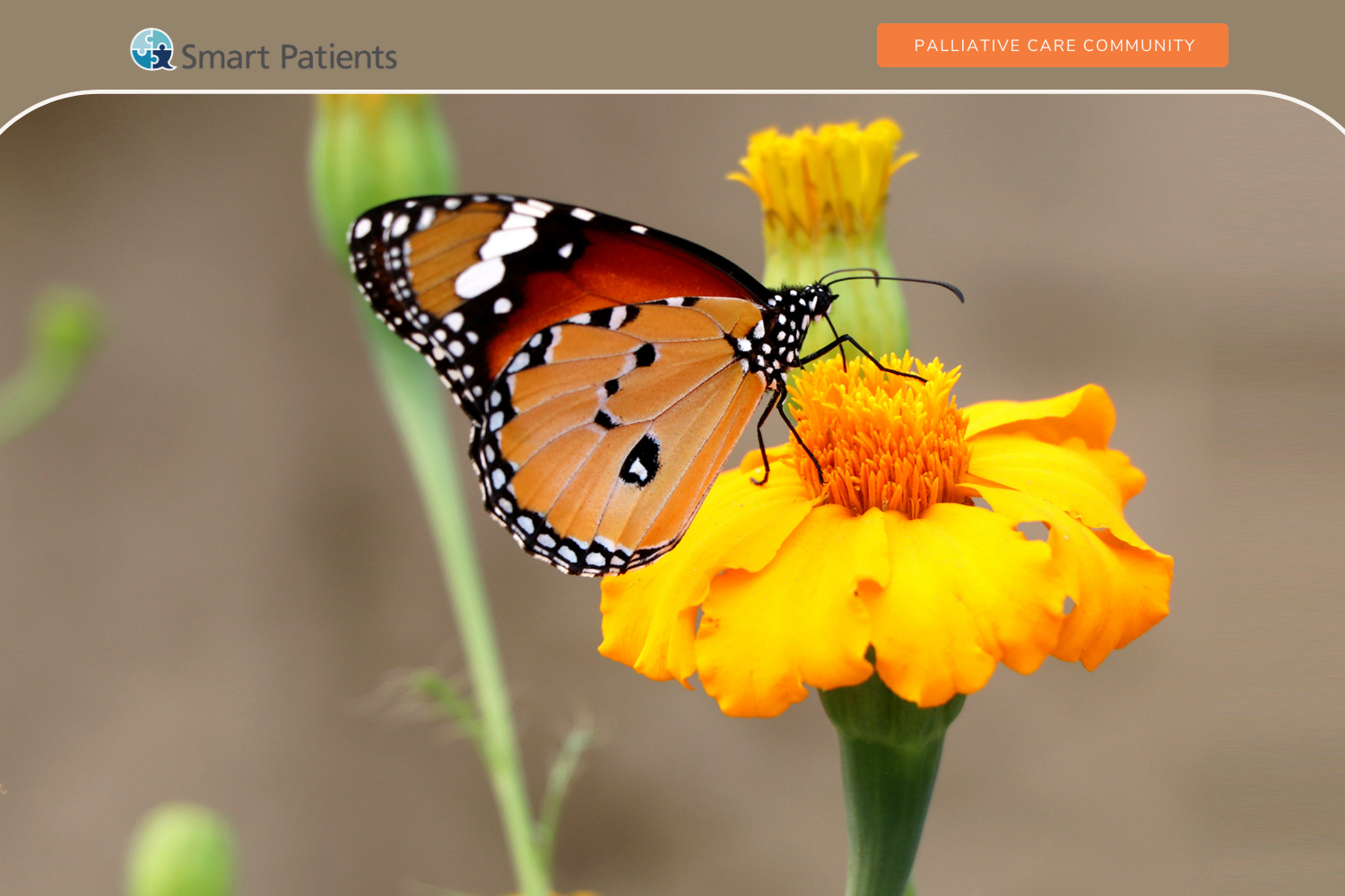 Am I Sick Enough To Qualify? Patients and the Palliative Care Specialty