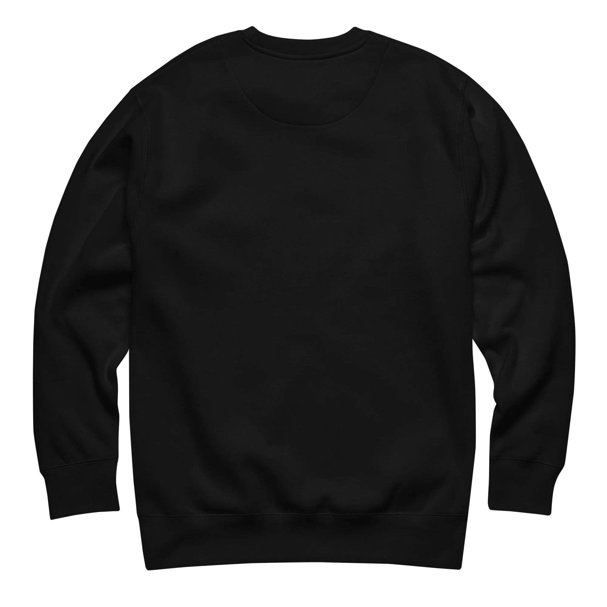 Back view of super soft Tucson Defined minimalist graphic sweatshirt in chic black.