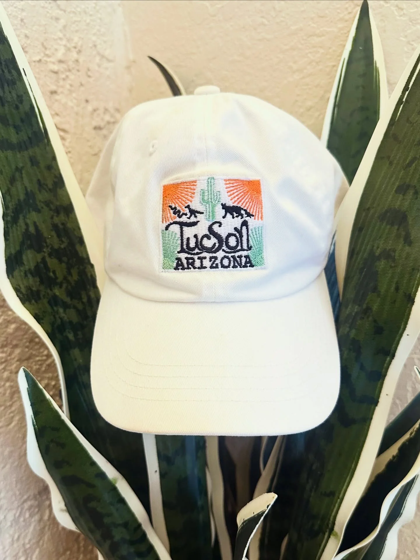 Stay stylish and cool 😎 in the P.S. embroidered Tucson, Arizona hat! Perfect for all of your sunny adventures and gardening plans. 🌞 Also comes in black! 🖤🤍 #tucson #arizona #summerstyle @philosofiadesign #desert