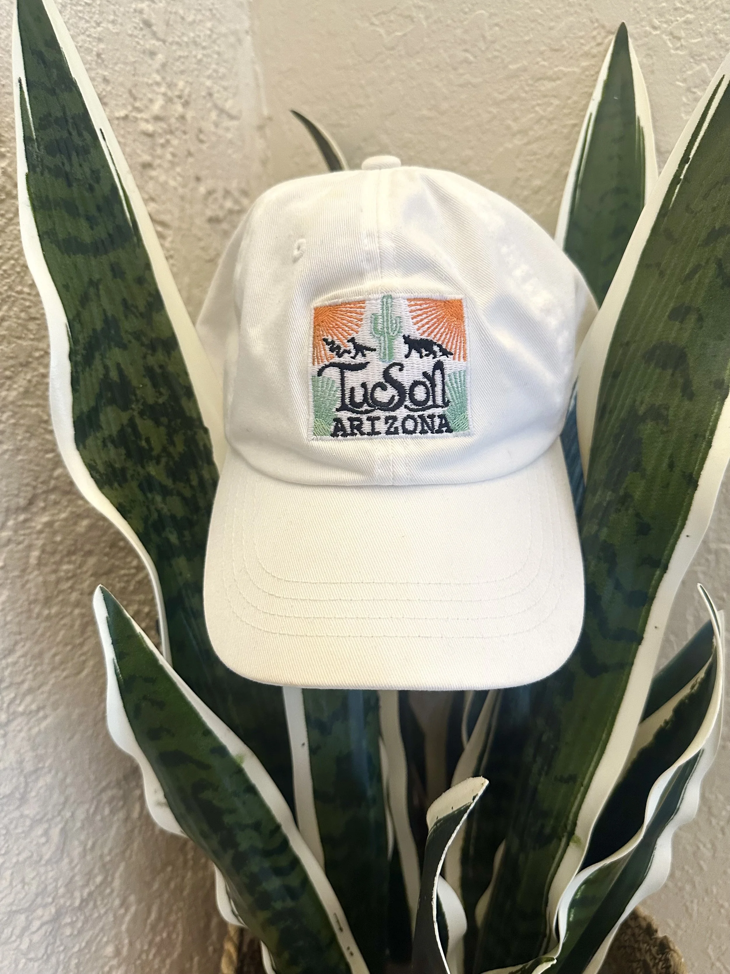 Tucson, AZ Hat