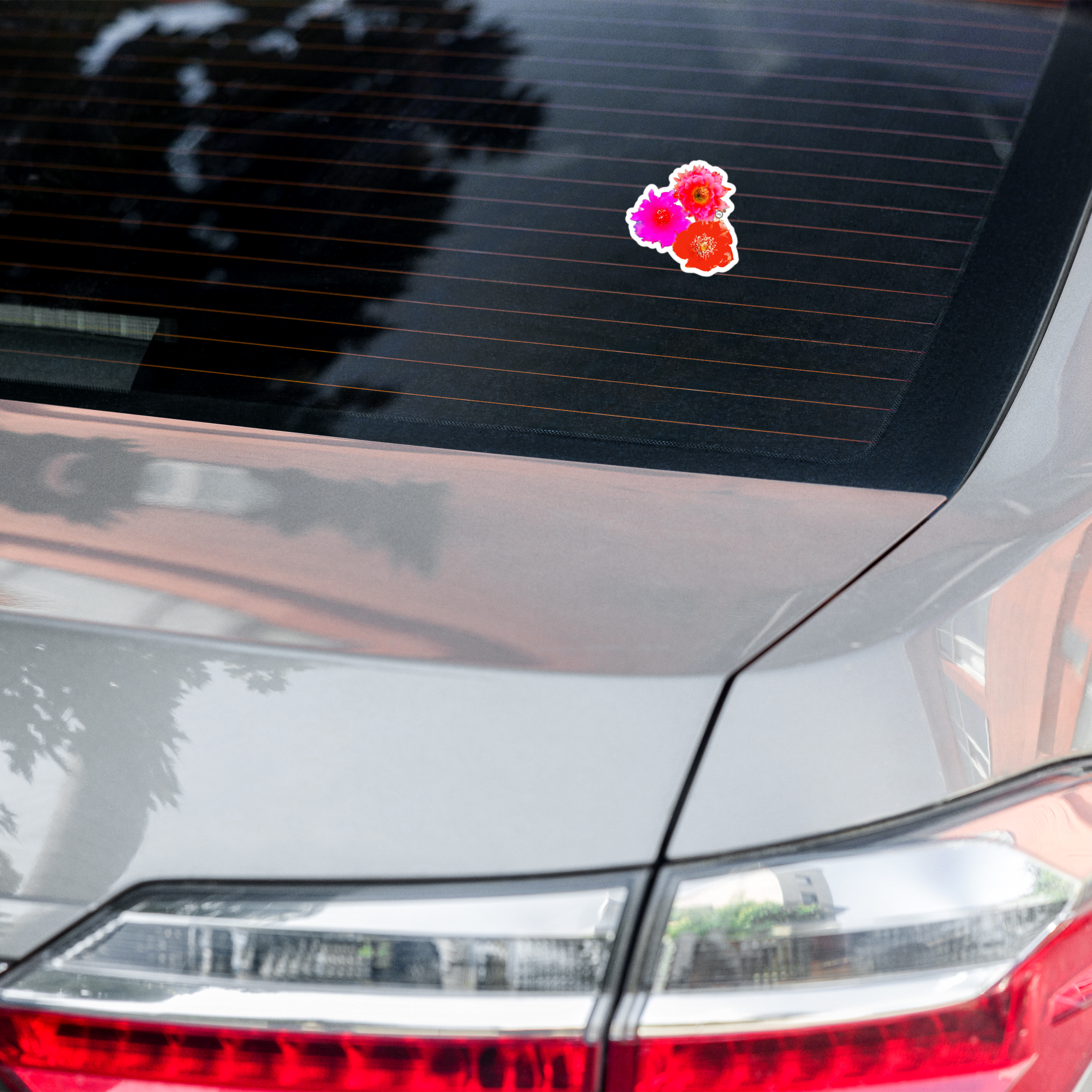 Cactus Flowers Sticker on back window of silver car.