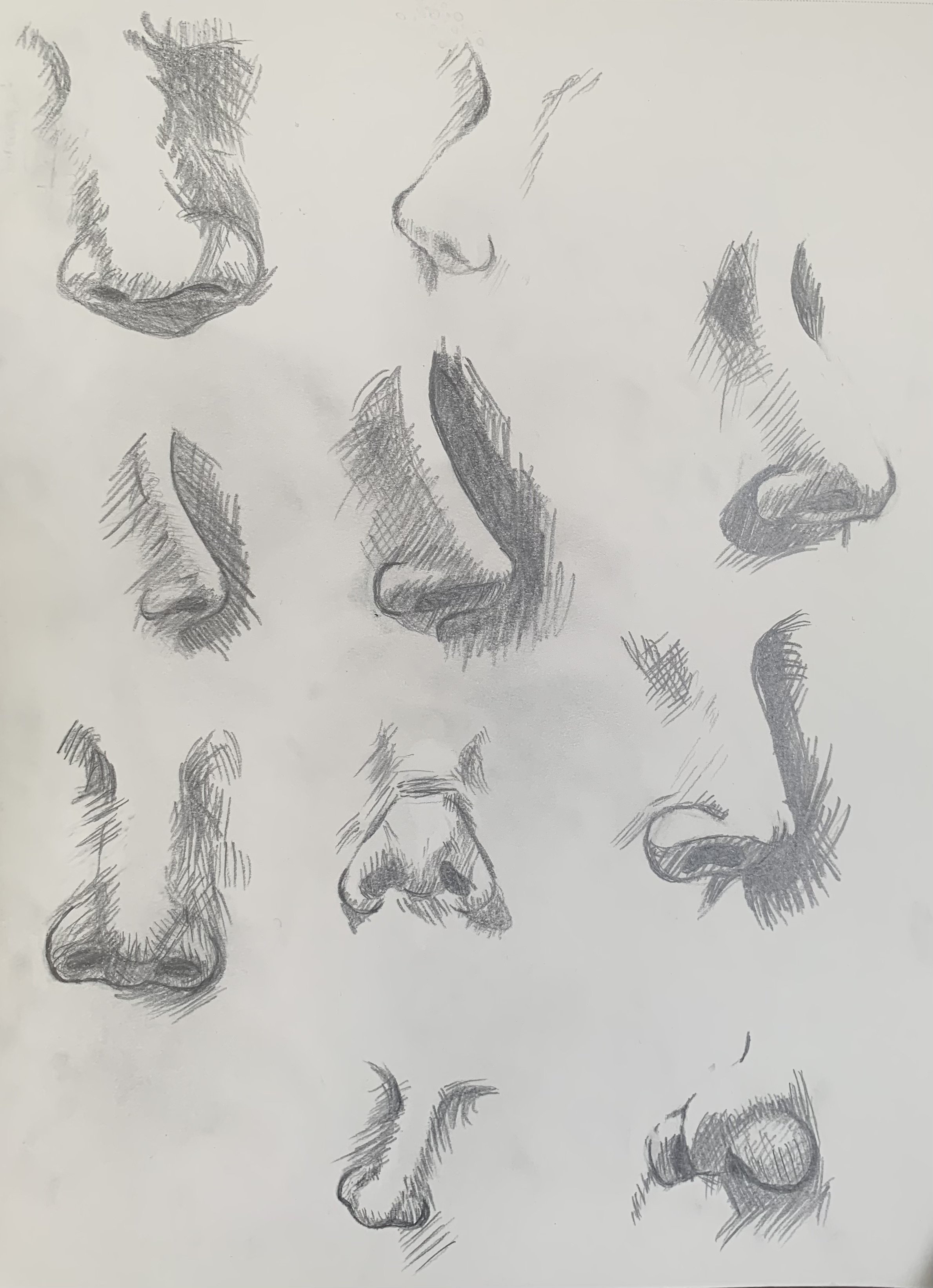 Nose Study (pencil)