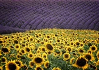 Image 12-31-21 at 3.42 PM.JPEG