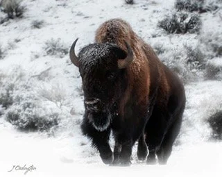 Image 2-24-22 at 5.28 PM.JPG