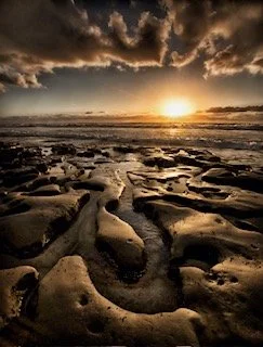 Image 3-2-21 at 2.15 PM.JPG