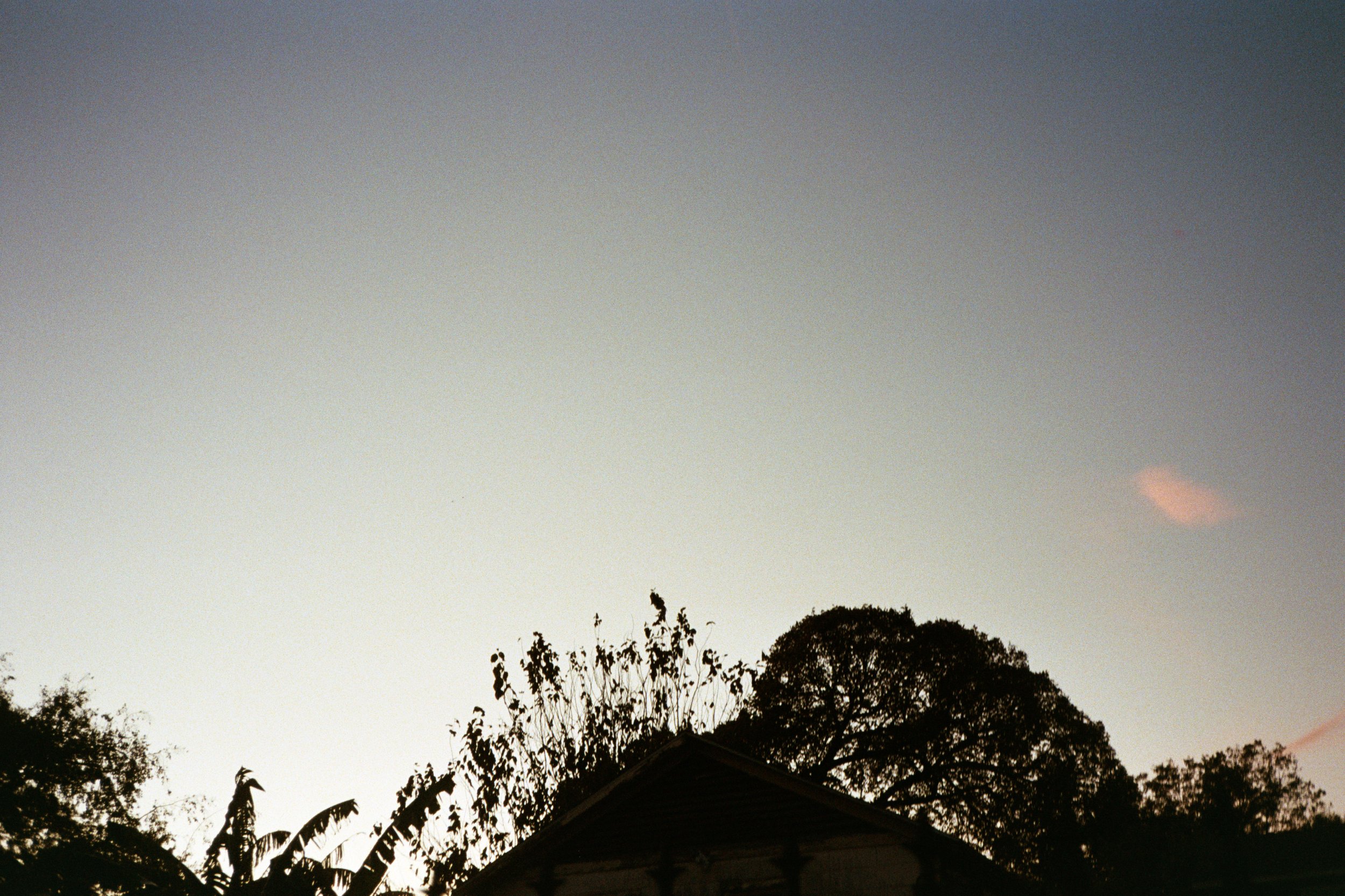 "Backyard 2", 2024, 12"x14.25" (with borders), Print on Satin Paper First Edition 1/1, $100