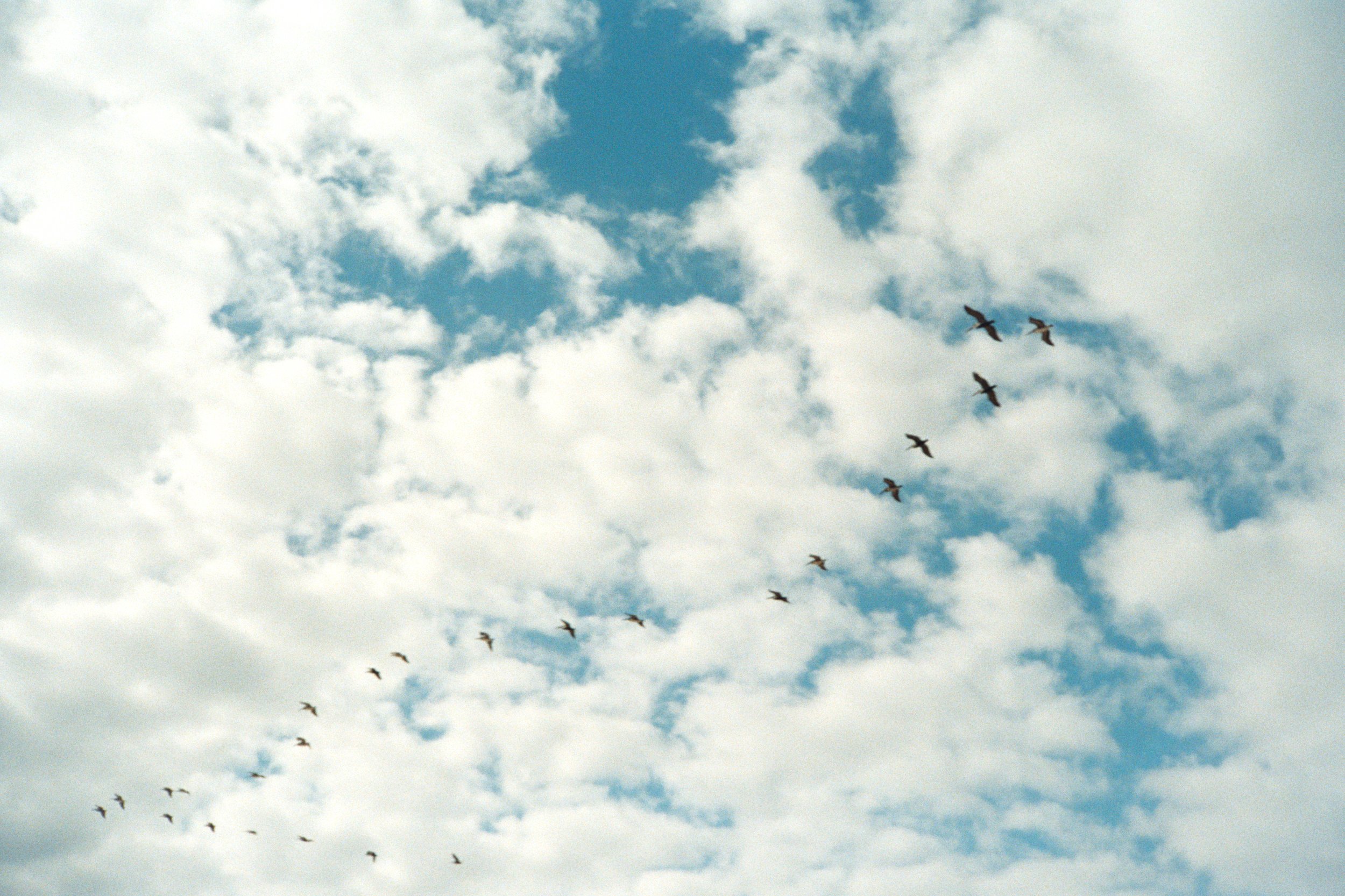 "Leaving", 2024, 12"x14.25" (with borders), Print on Satin Paper First Edition 1/1, $100