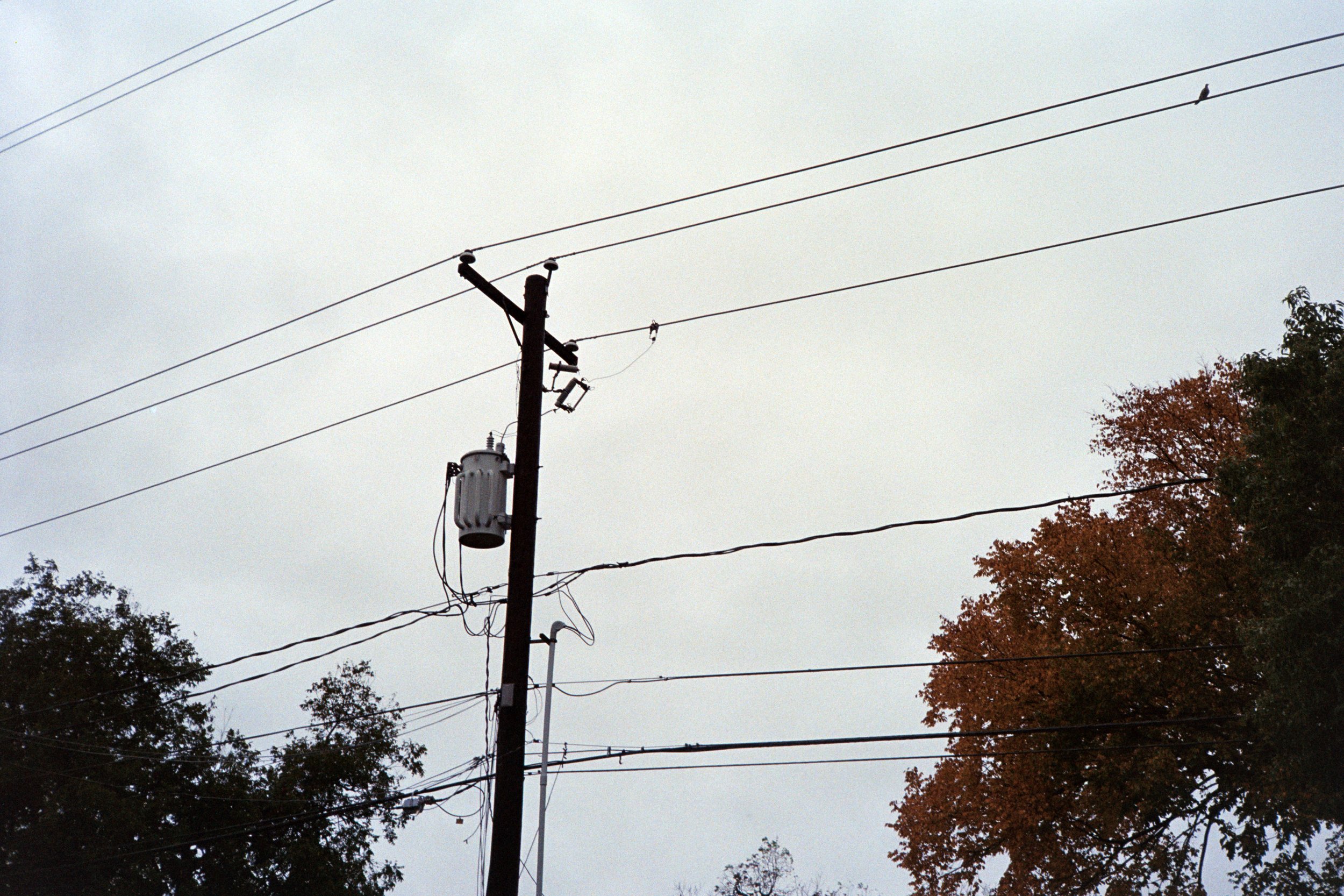 "Across The Street 1", 2024, 12"x14.25" (with borders), Print on Satin Paper First Edition 1/1, $100