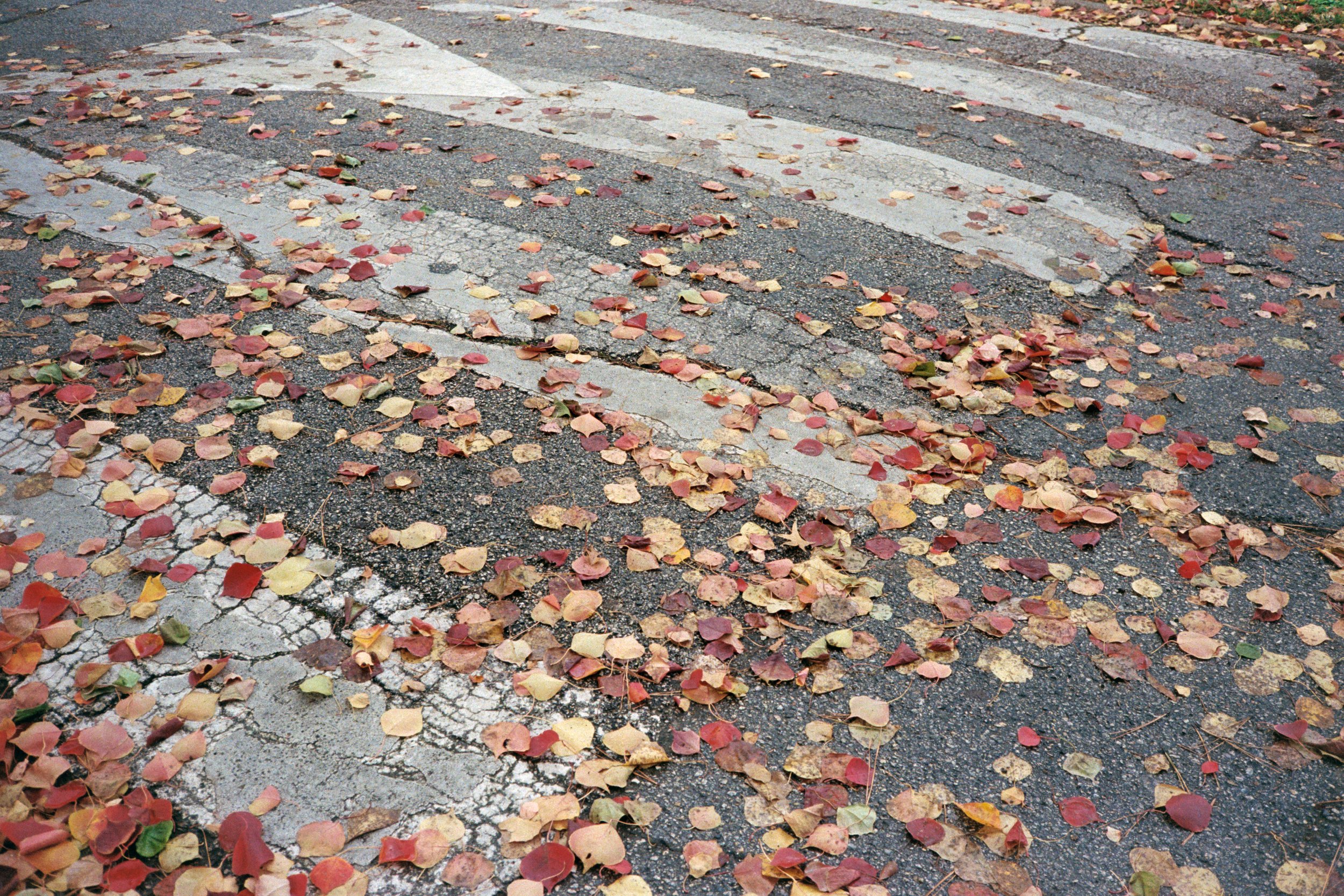 "Pavement Freckles", 2024, 12"x14.25" (with borders), Print on Satin Paper First Edition 1/1, $100