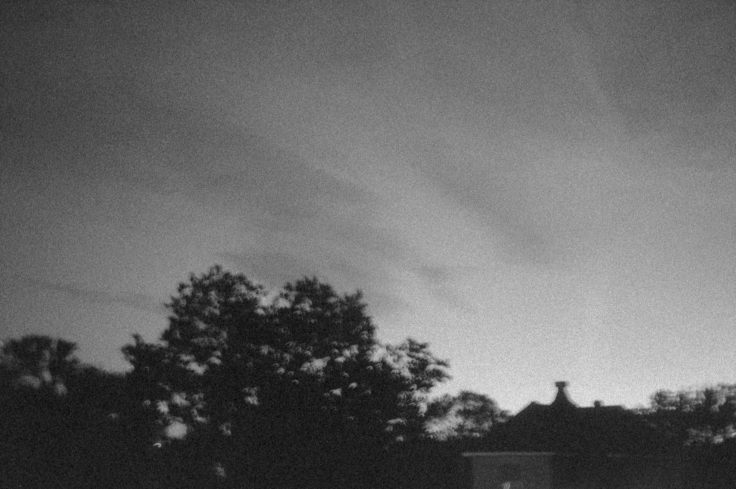 "Backyard 1", 2024, 12"x14.25" (with borders), Print on Satin Paper First Edition 1/1, $100