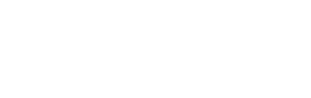 TNT Consulting