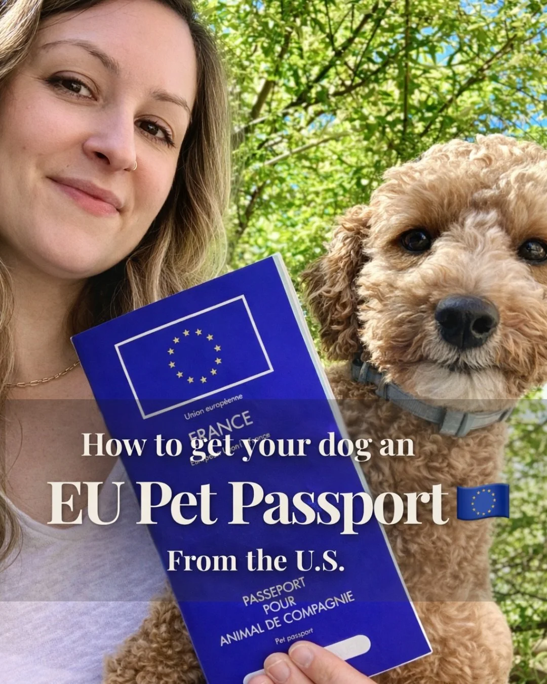 𝐈𝐟 𝐲𝐨𝐮&rsquo;𝐫𝐞 𝐛𝐫𝐢𝐧𝐠𝐢𝐧𝐠 𝐲𝐨𝐮𝐫 𝐩𝐞𝐭 𝐭𝐨 𝐄𝐮𝐫𝐨𝐩𝐞, 𝐫𝐞𝐚𝐝 𝐭𝐡𝐢𝐬 𝐟𝐢𝐫𝐬𝐭.

There&rsquo;s a very specific order &mdash; and most people don&rsquo;t realize it until it&rsquo;s too late.

Here&rsquo;s exactly how to get a