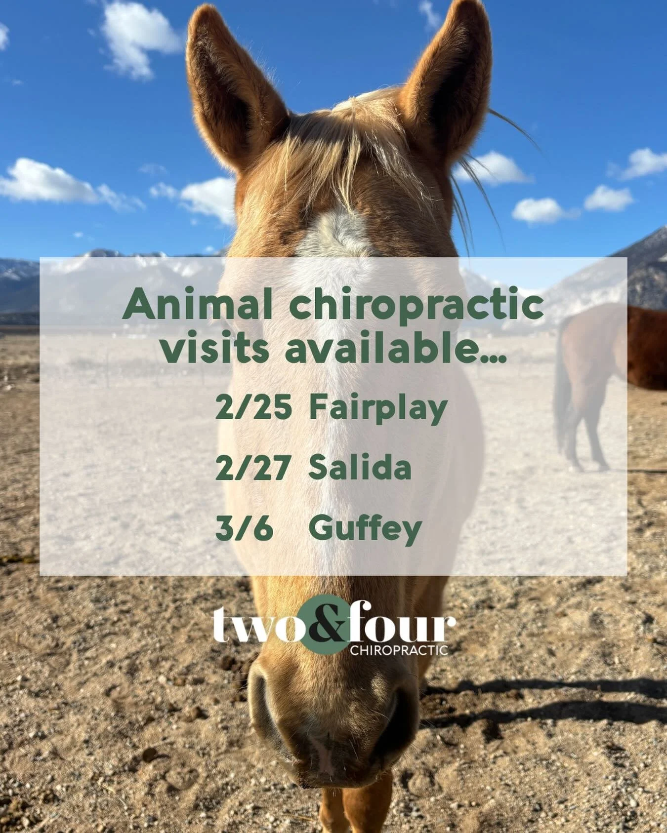 the weather has certainly been on our side for travel visits this &ldquo;winter&rdquo; up until recently. That being said, the recent snow has change our travel schedule a bit and created a few openings for new or current clients! 

Message us if you