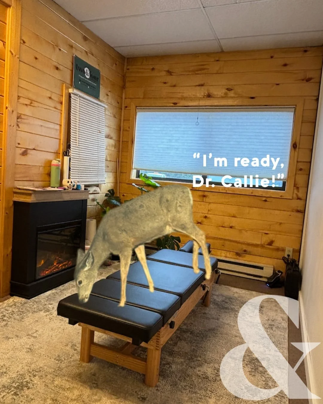 We had a new patient waiting for us when we got to the office today! We talked about how lifestyle factors, like fear of crossing the road, can manifest as physical symptoms. The patient reported decreased tension after their visit and noted that the