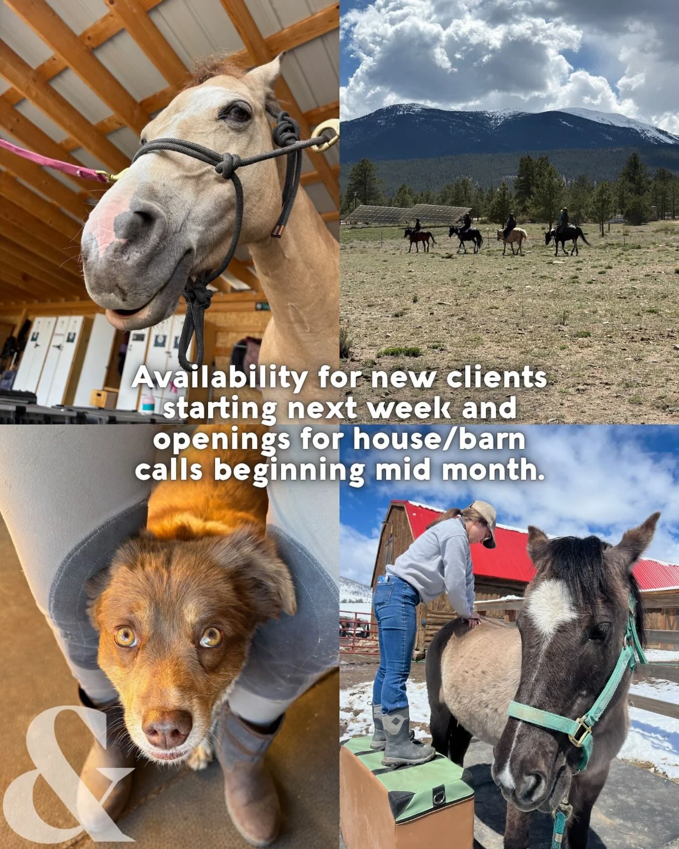 We are so thankful to have had such a busy spring taking care of your and your furry friends! Posting on social media may have went by the way side a bit, but we are excited to continue helping you and your animals this summer. 

Whether you want to 