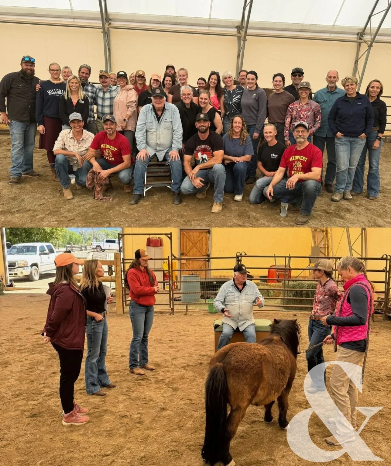 Nothing is better than learning from the greats! Alway come home feeling more empowered to treat clients (including my people!) after an @animalchiropracticce weekend 🐾🐎