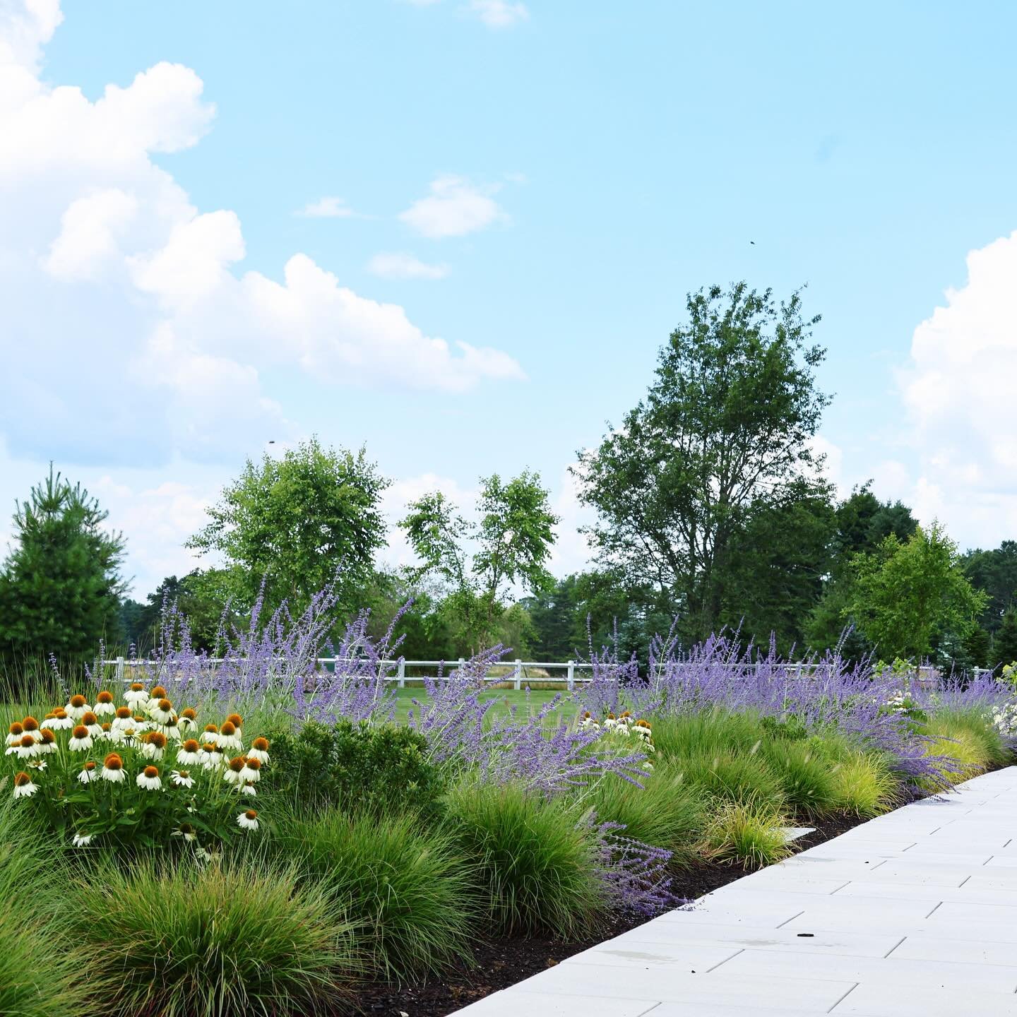 Believe it or not, we&rsquo;re going to have a sunny Saturday one of these weeks!