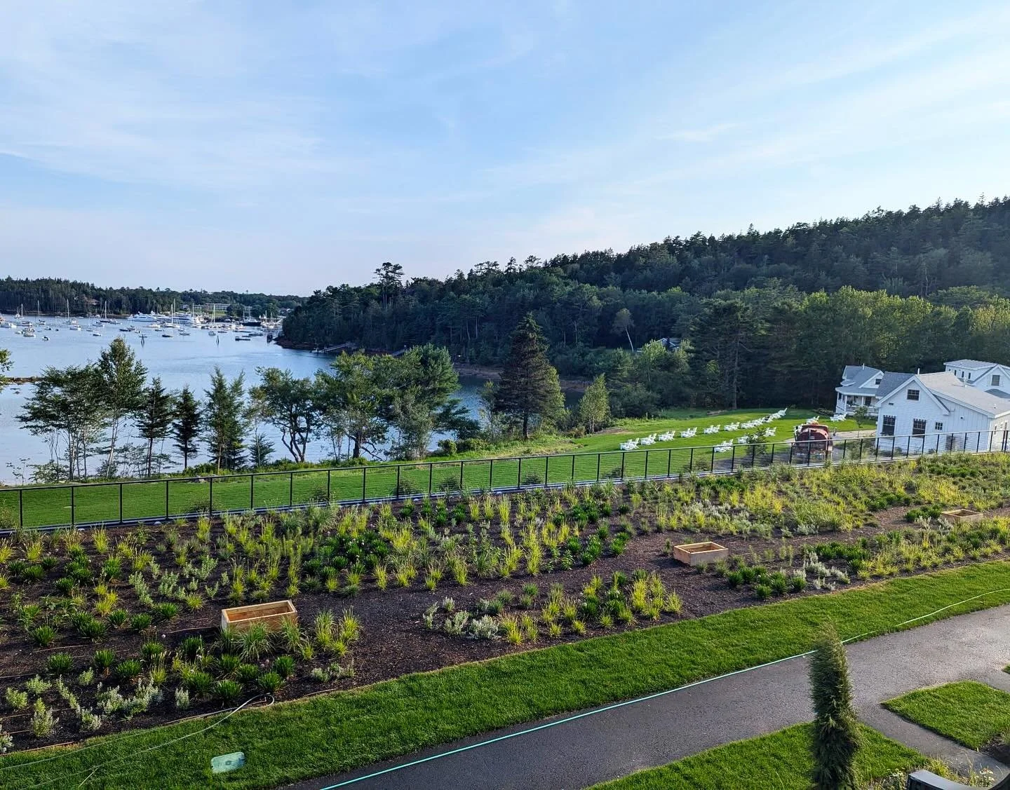 The green roof at @asticoumaine is planted and ready for a summer of growth. So proud of this one, and so excited to see it this time next year&hellip;

As always, a privilege to design next to @doe_steve , @timjharrington , and the rest of the talen