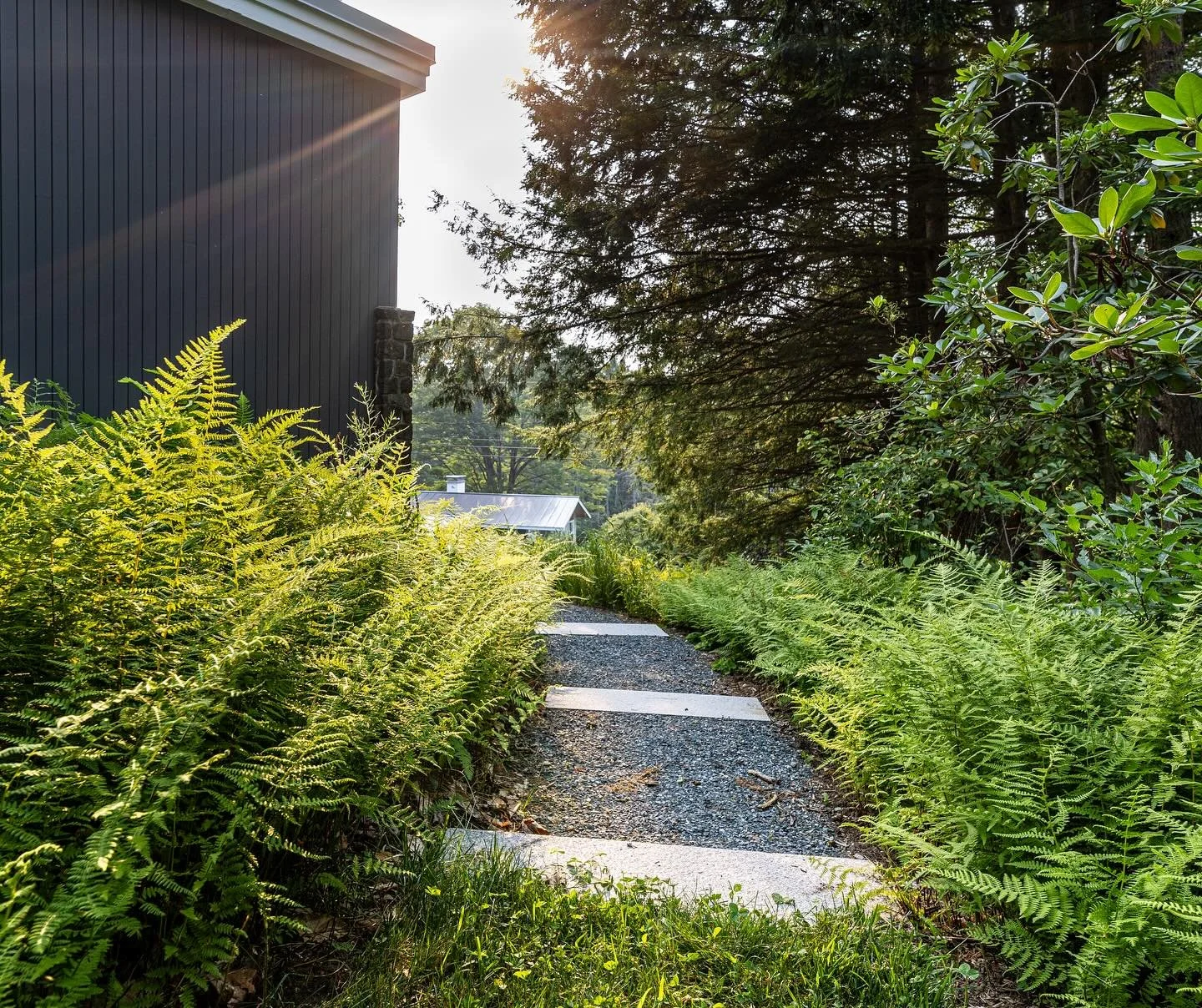 Just follow the ferns&hellip; 

#landscapedesi̇gn #newengland #garden #gardendesign